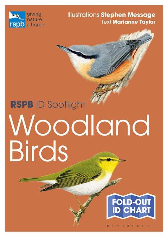 RSPB ID Spotlight - Woodland Birds: : RSPB Marianne Taylor Bloomsbury ...