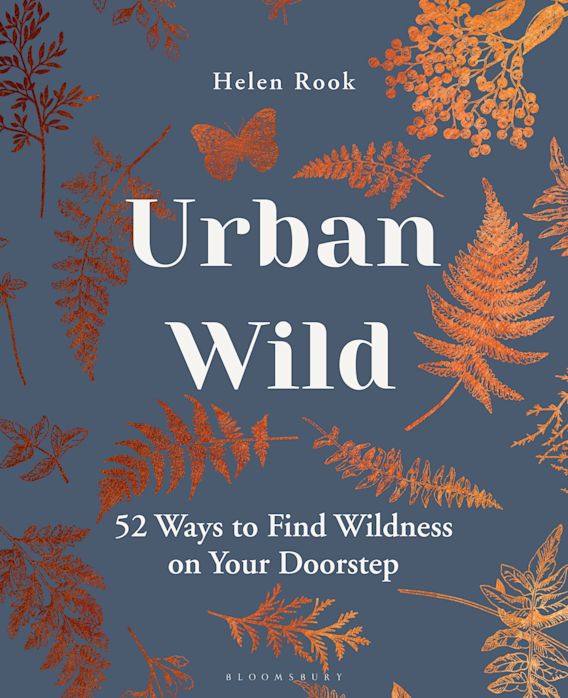 Wild Urban Plants of the Northeast by Peter del Tredici