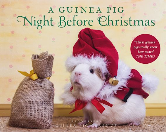 A Guinea Pig Night Before Christmas: : Guinea Pig Classics Clement Clarke Moore Bloomsbury Publishing A Guinea Pig Night Before Christmas: : Guinea Pig Classics Clement Clarke Moore Bloomsbury Publishing