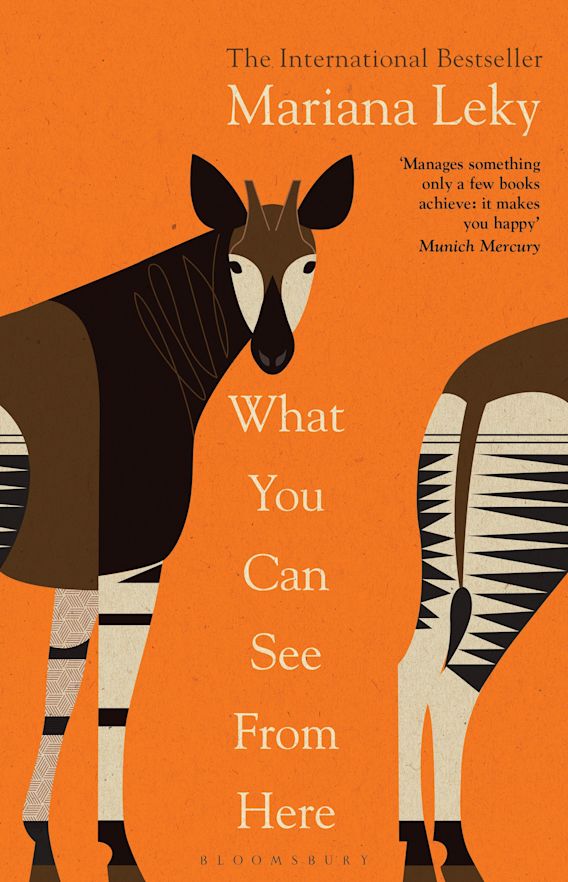 What You Can See From Here The Warm And Curious Bestselling Phenomenon Mariana Leky Bloomsbury Publishing