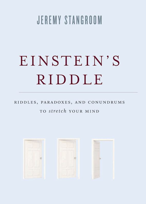 Einstein's Riddle Puzzle