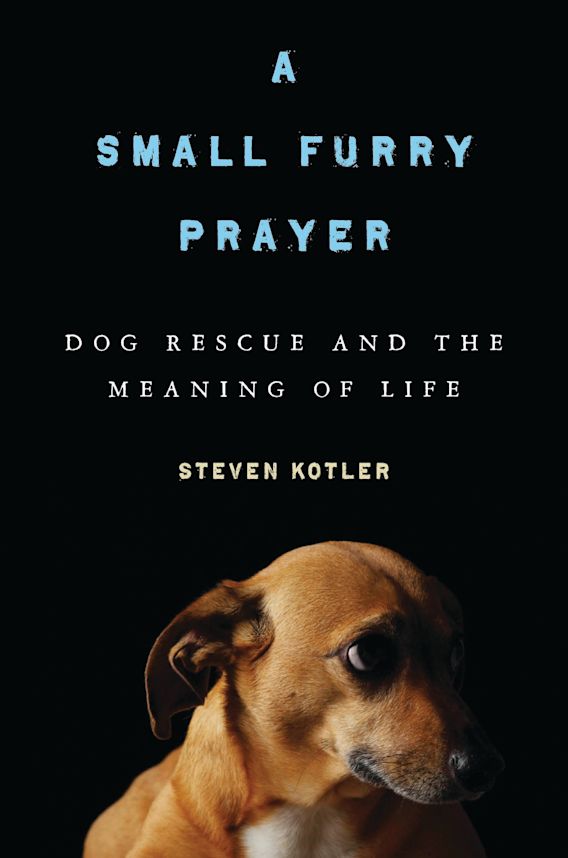 A Small Furry Prayer Dog Rescue and the Meaning of Life Steven Kotler