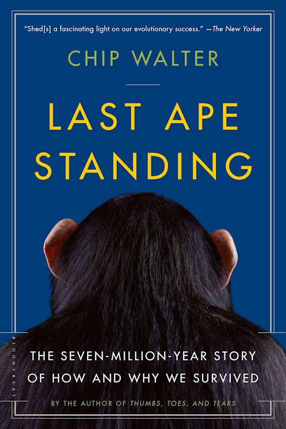 Last Ape Standing The Seven Million Year Story Of How And Why We Survived Chip Walter Bloomsbury Usa