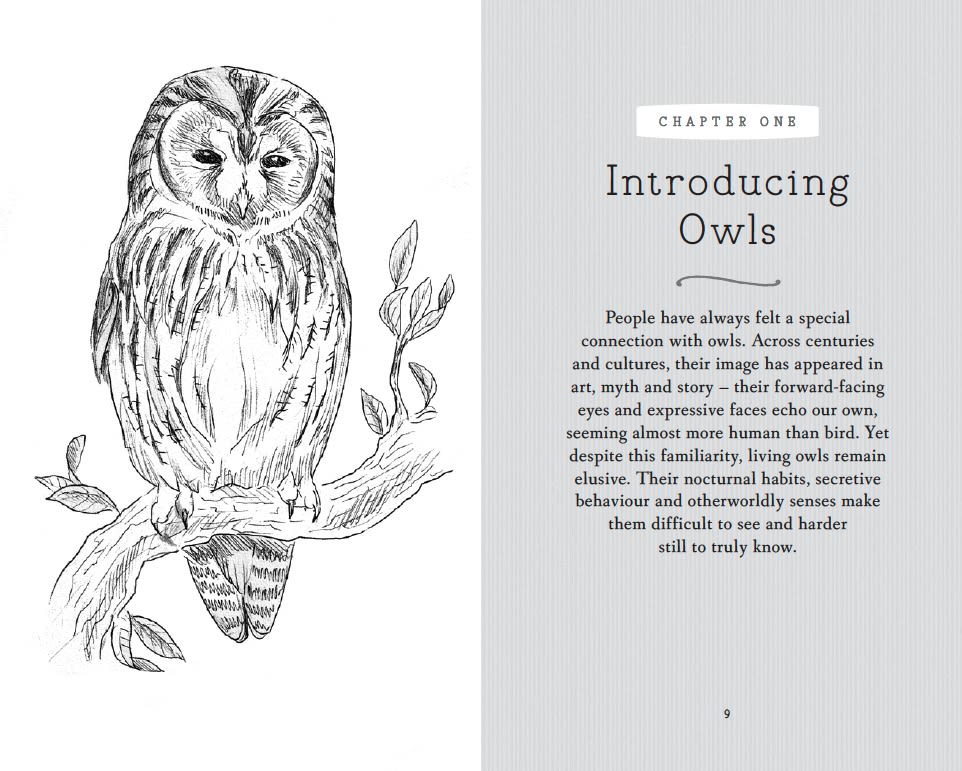 Page Spread