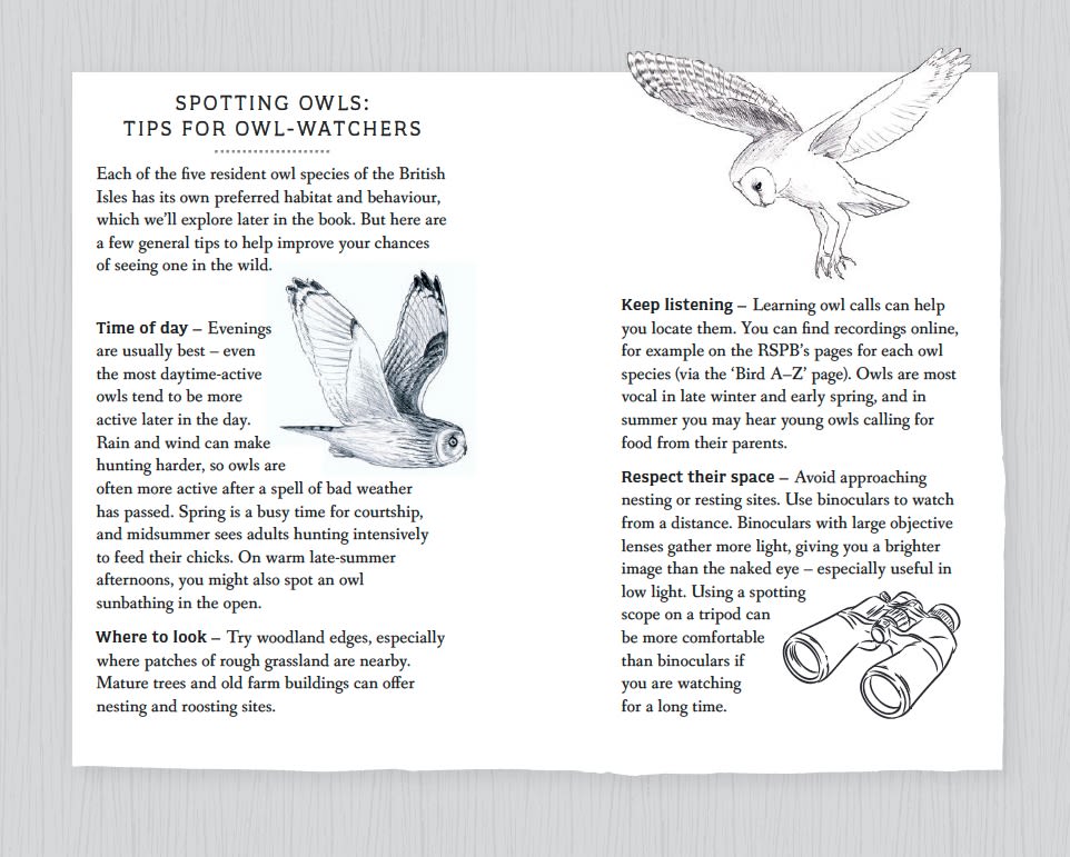 Page Spread