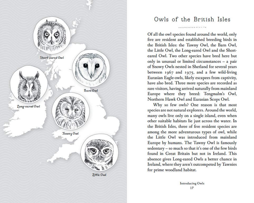 Page Spread
