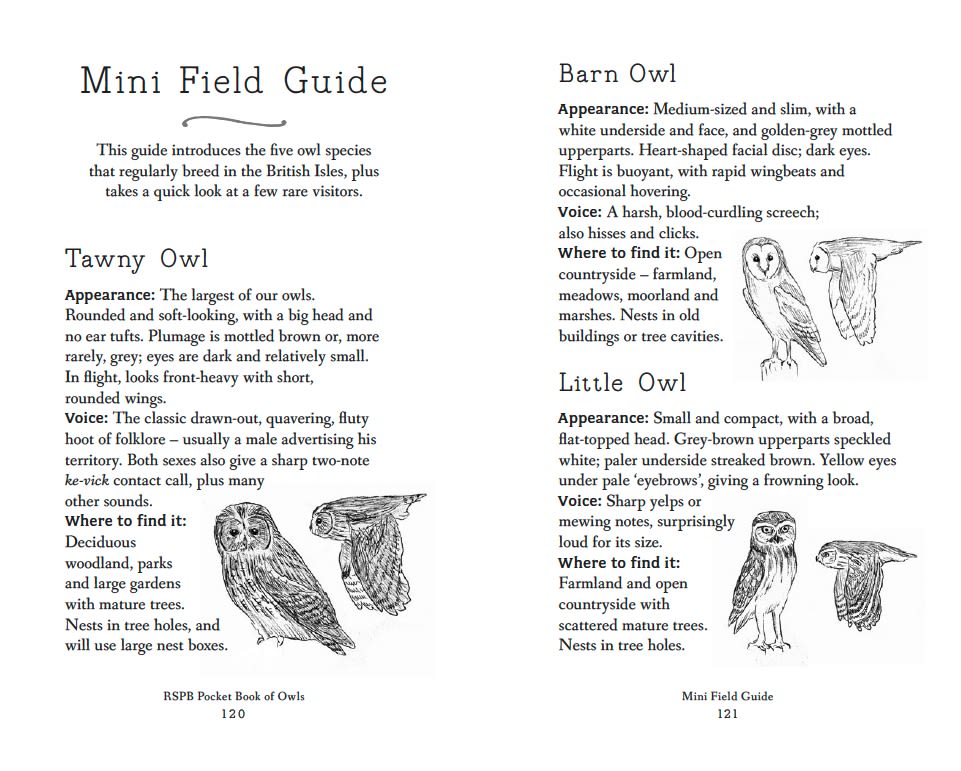 Page Spread