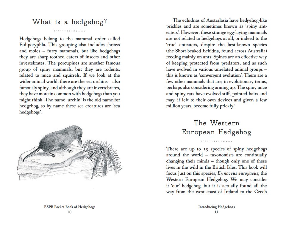 Page Spread