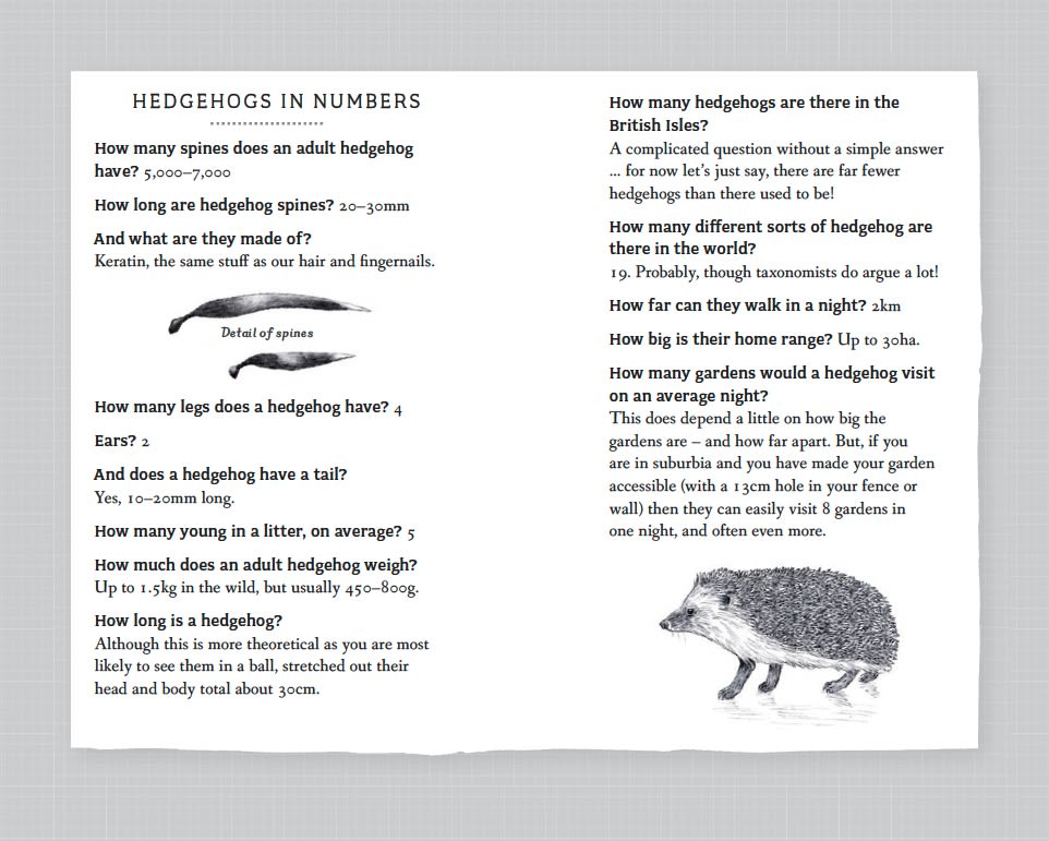 Page Spread