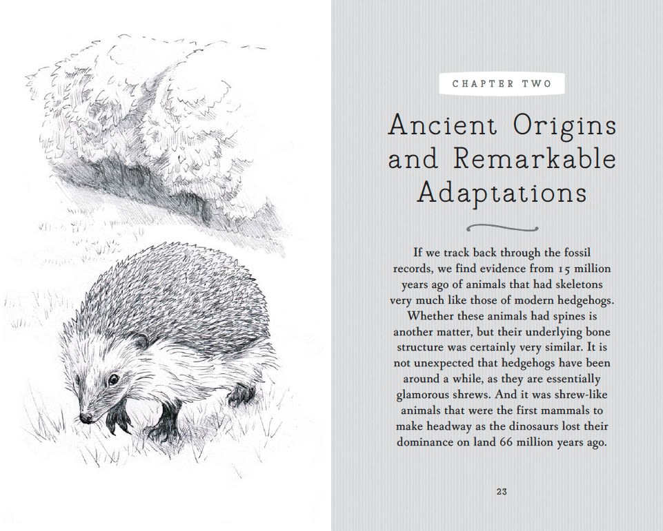 Page Spread