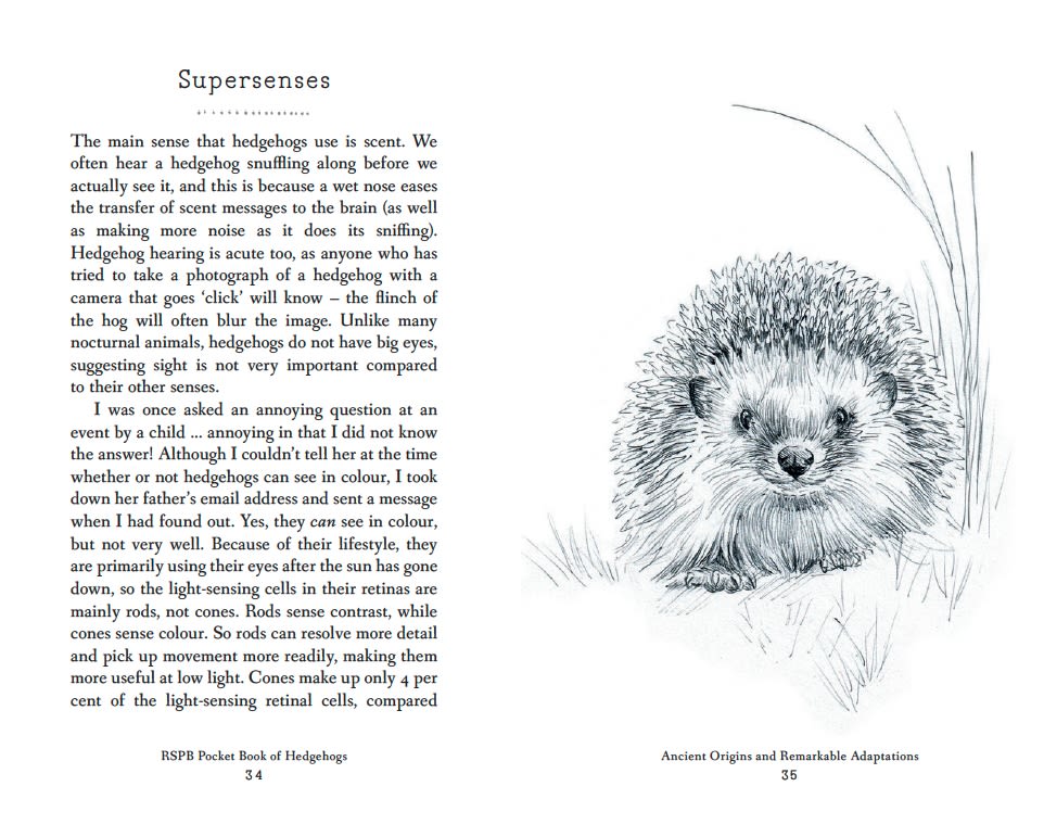 Page Spread