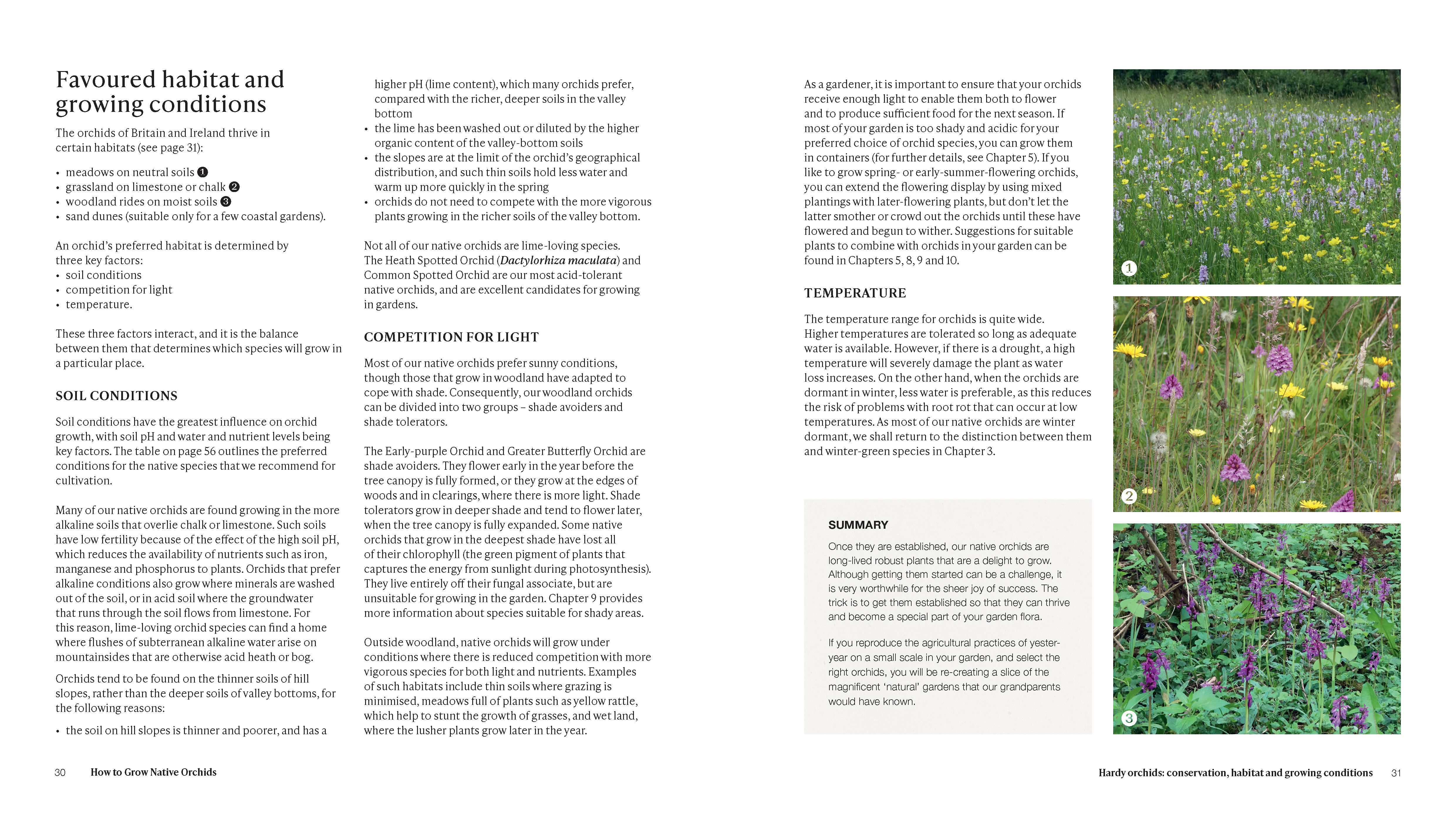 Page Spread