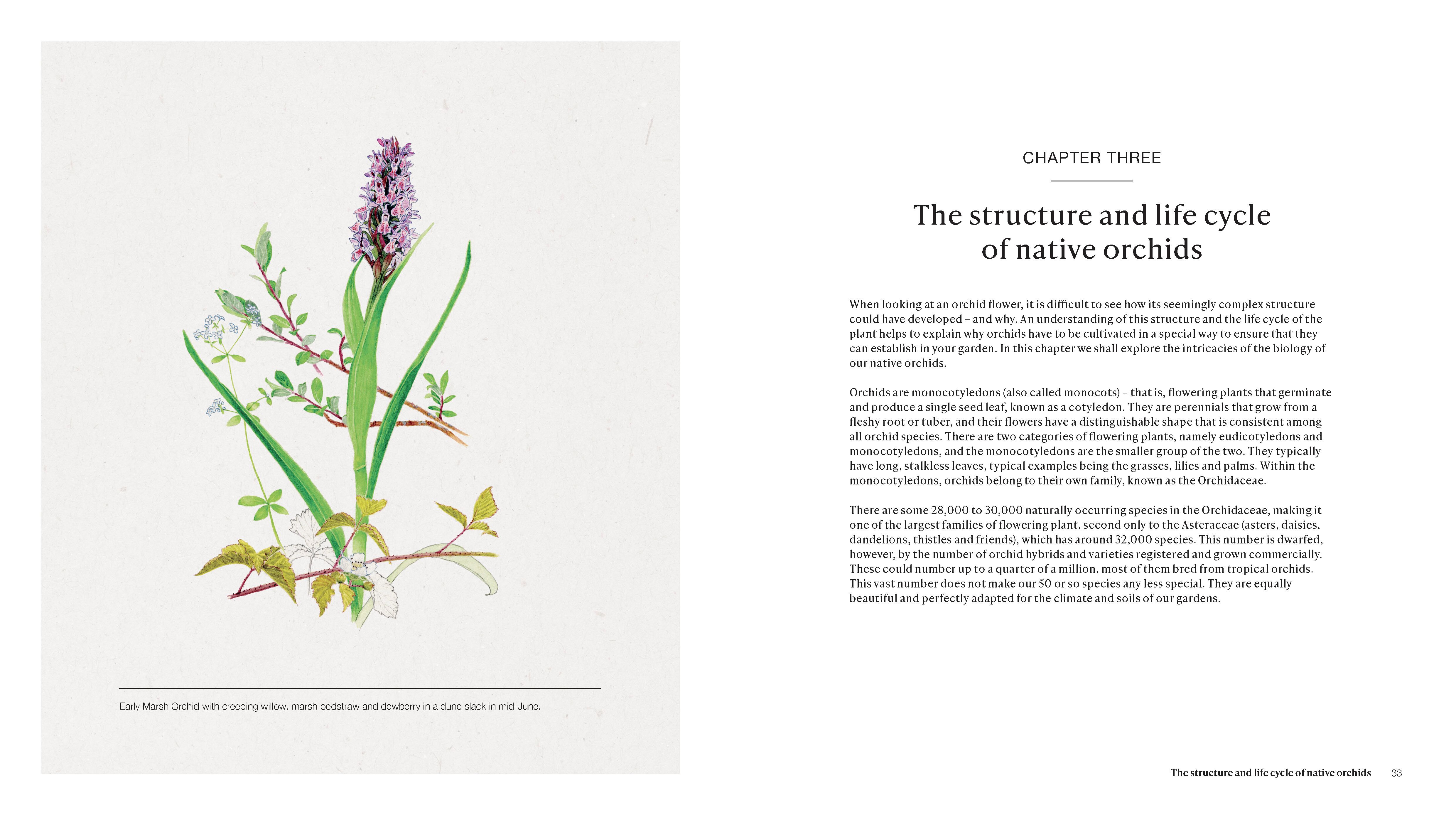 Page Spread
