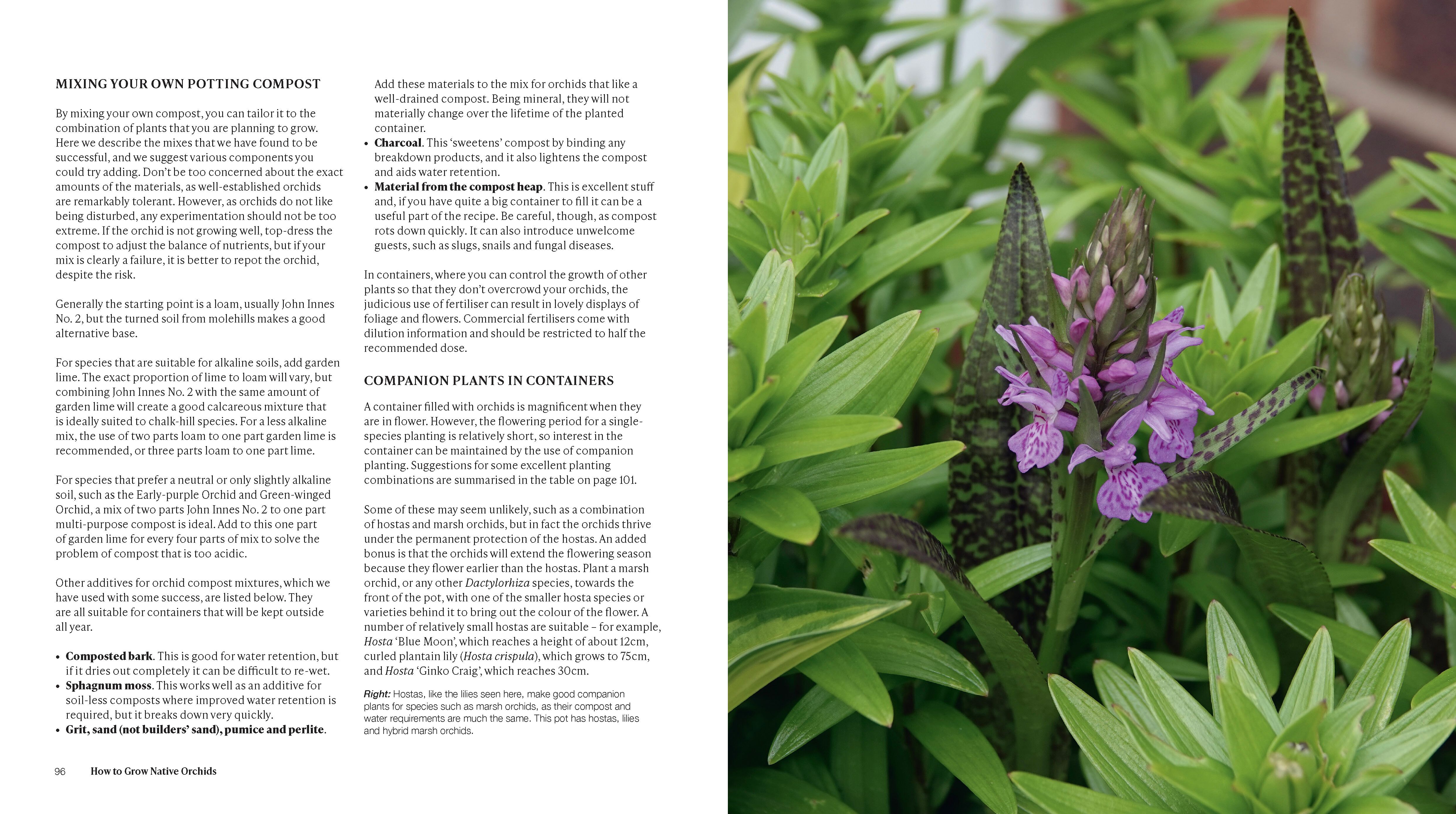 Page Spread