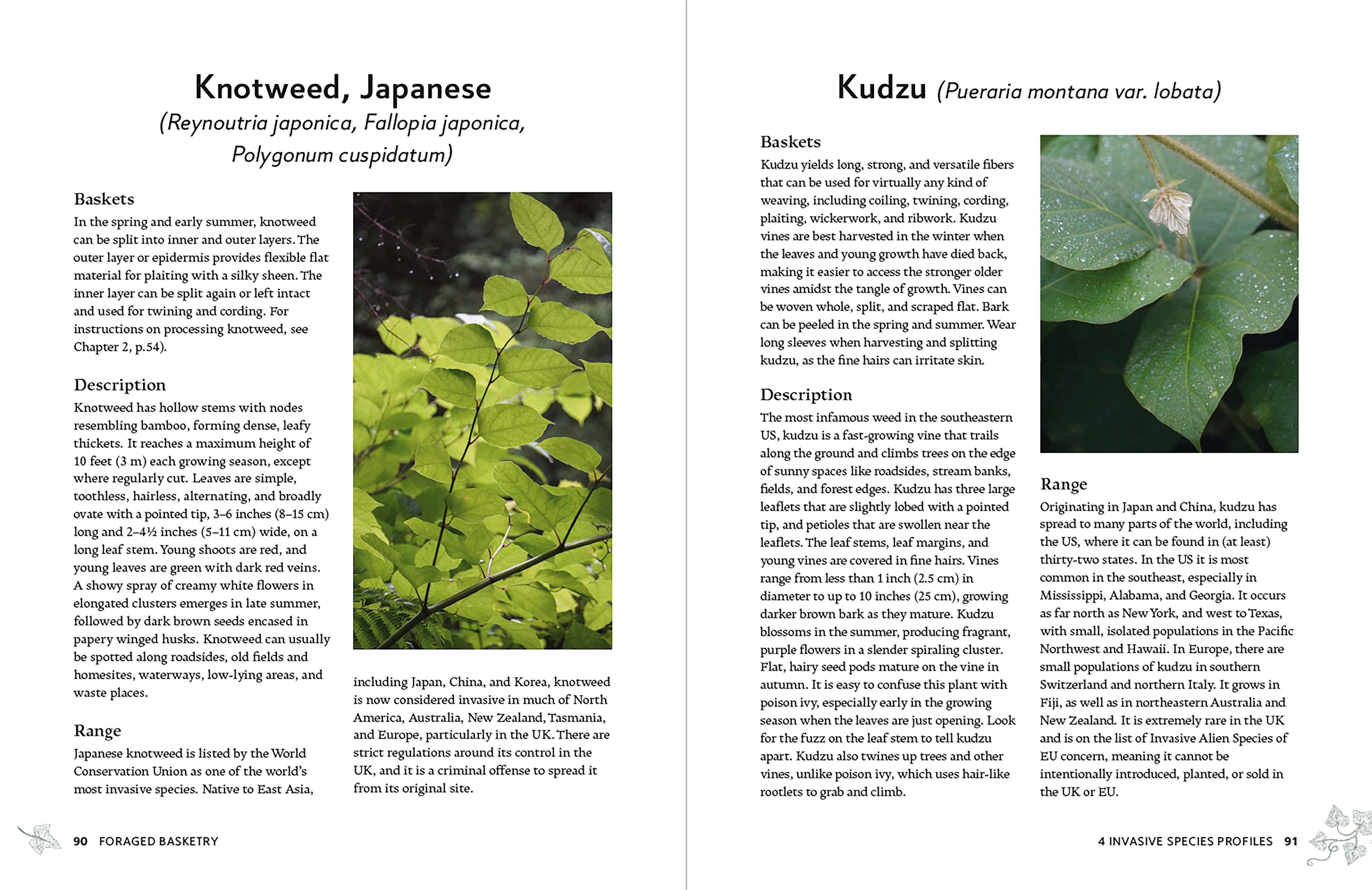 Page Spread