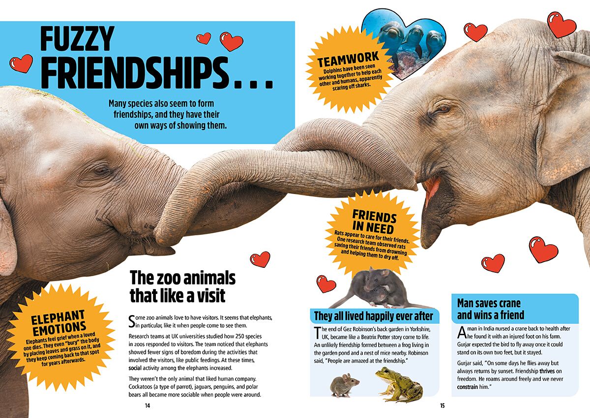 Page Spread