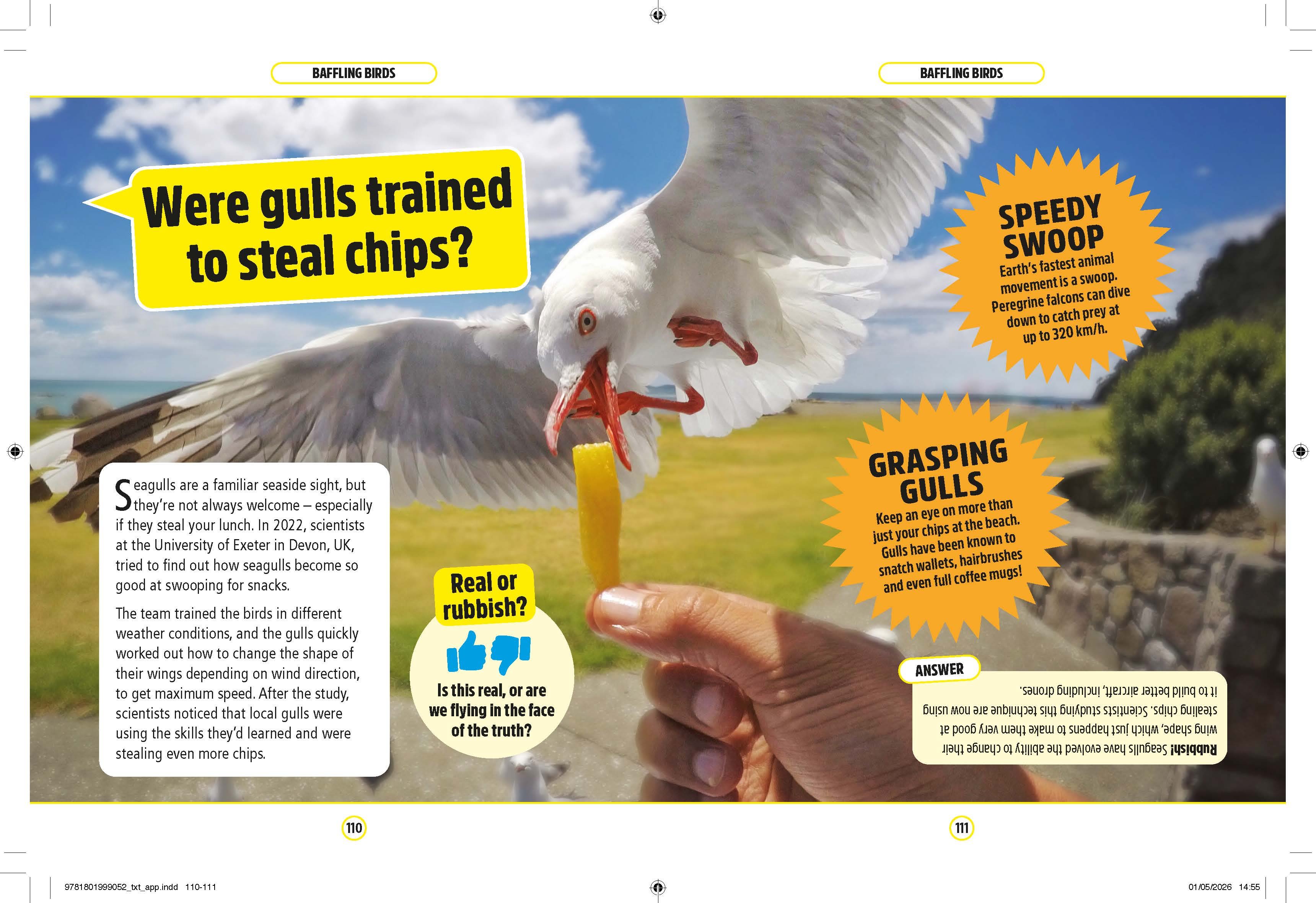 Page Spread