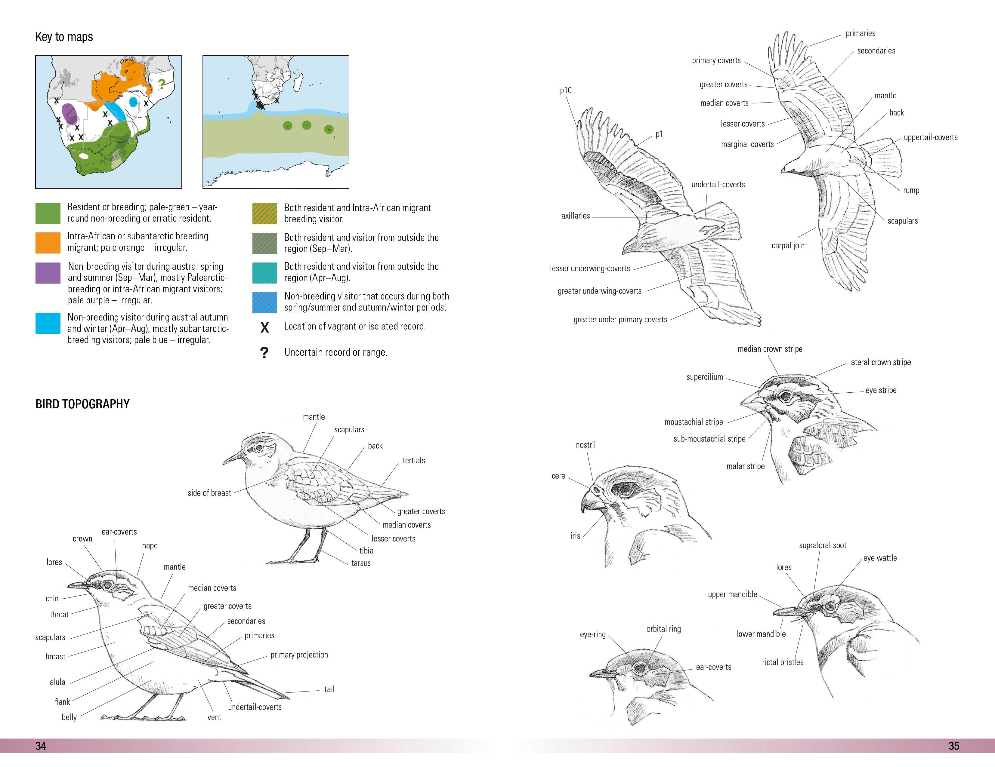 Page Spread