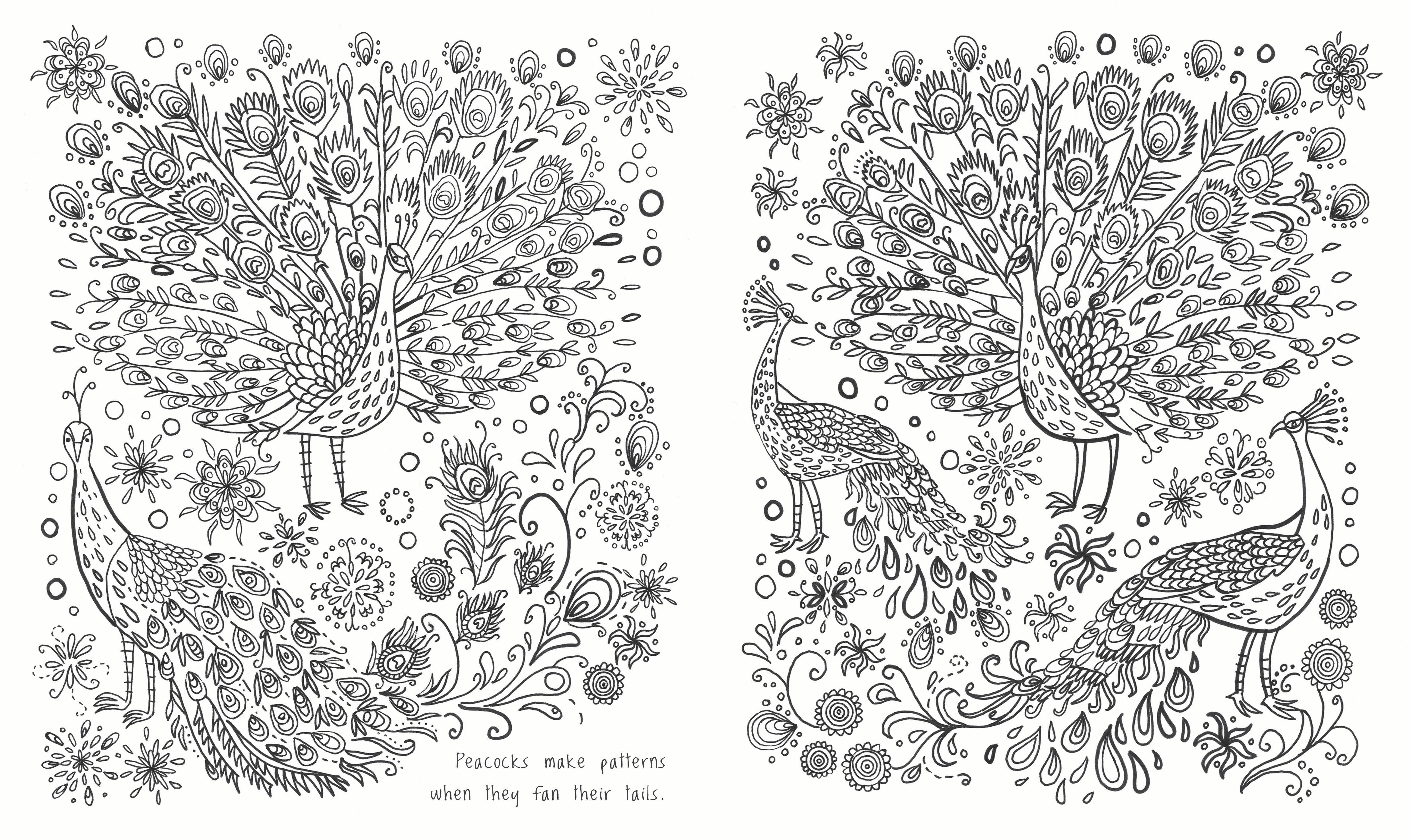 Kew A Year in the Garden Colouring Book Bloomsbury Activity Books