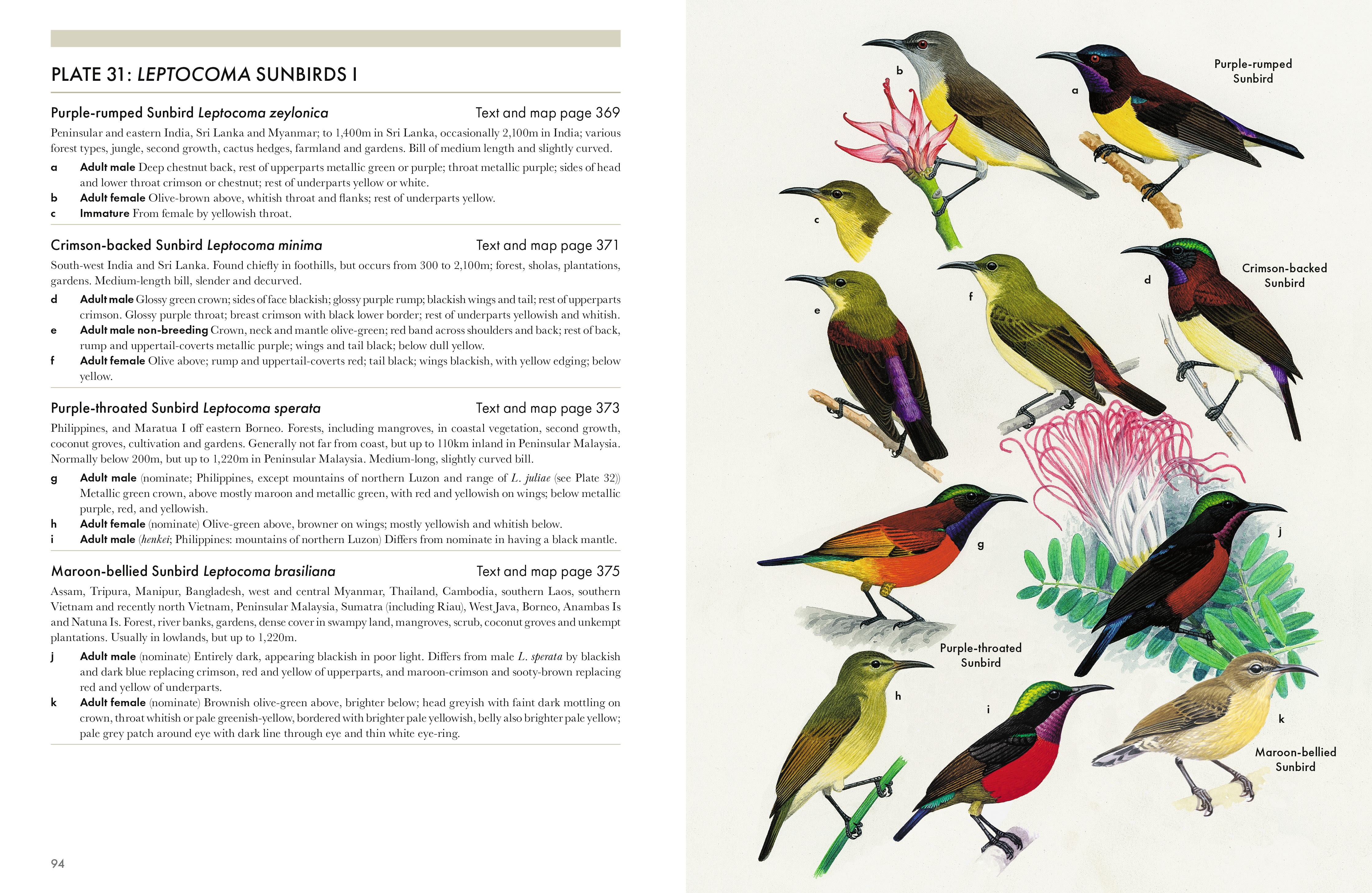 Page Spread