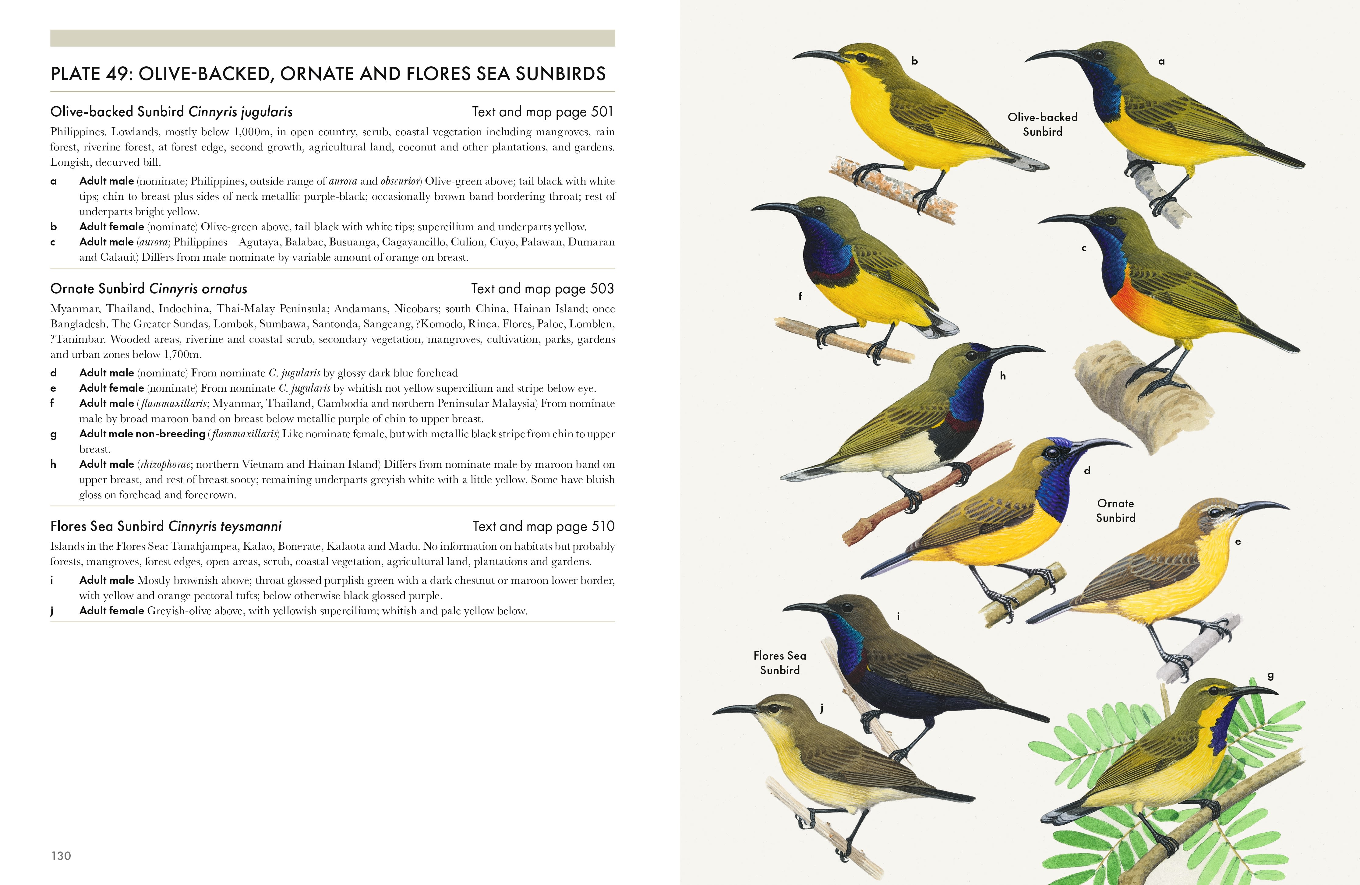 Page Spread