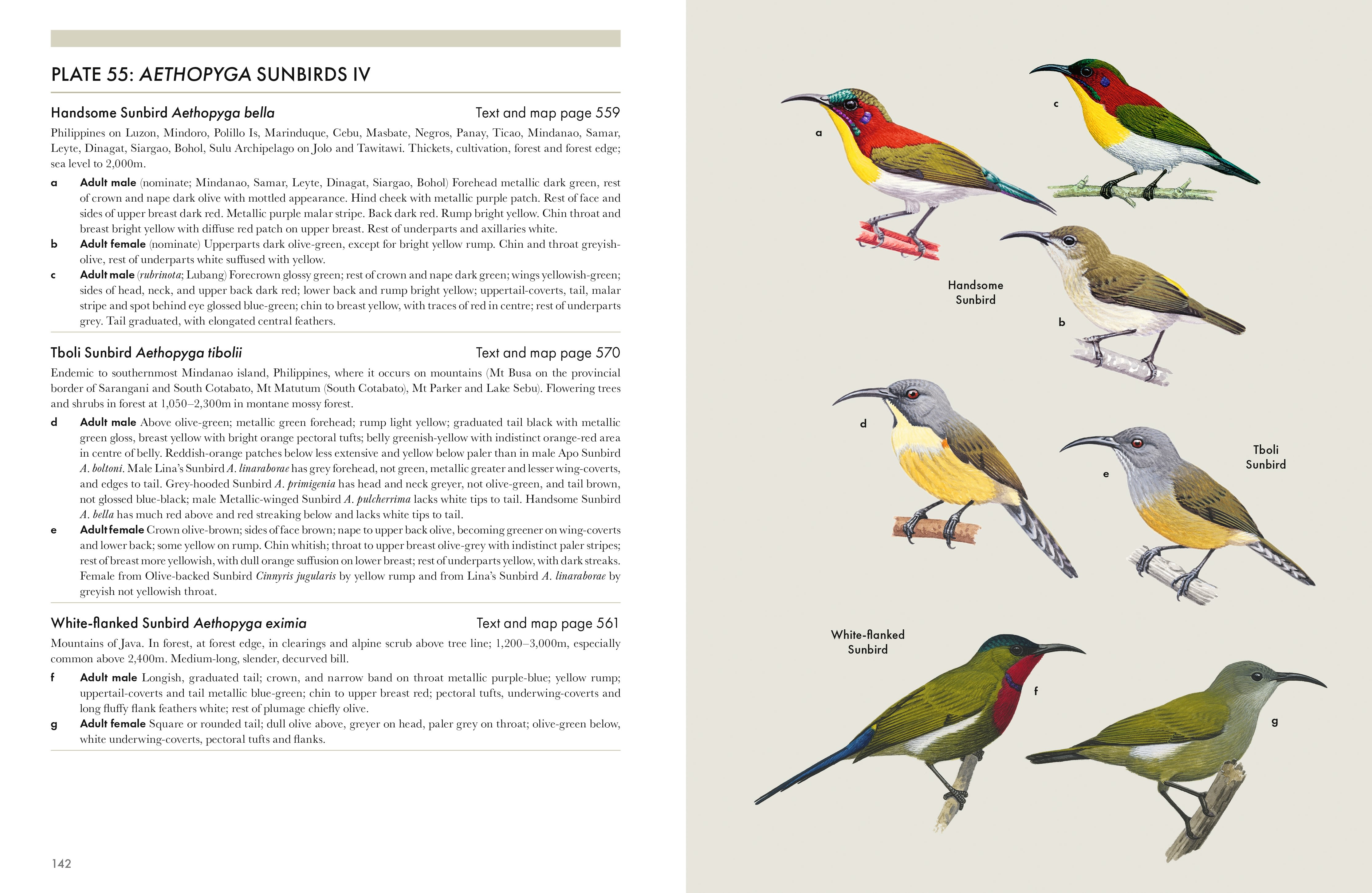 Page Spread