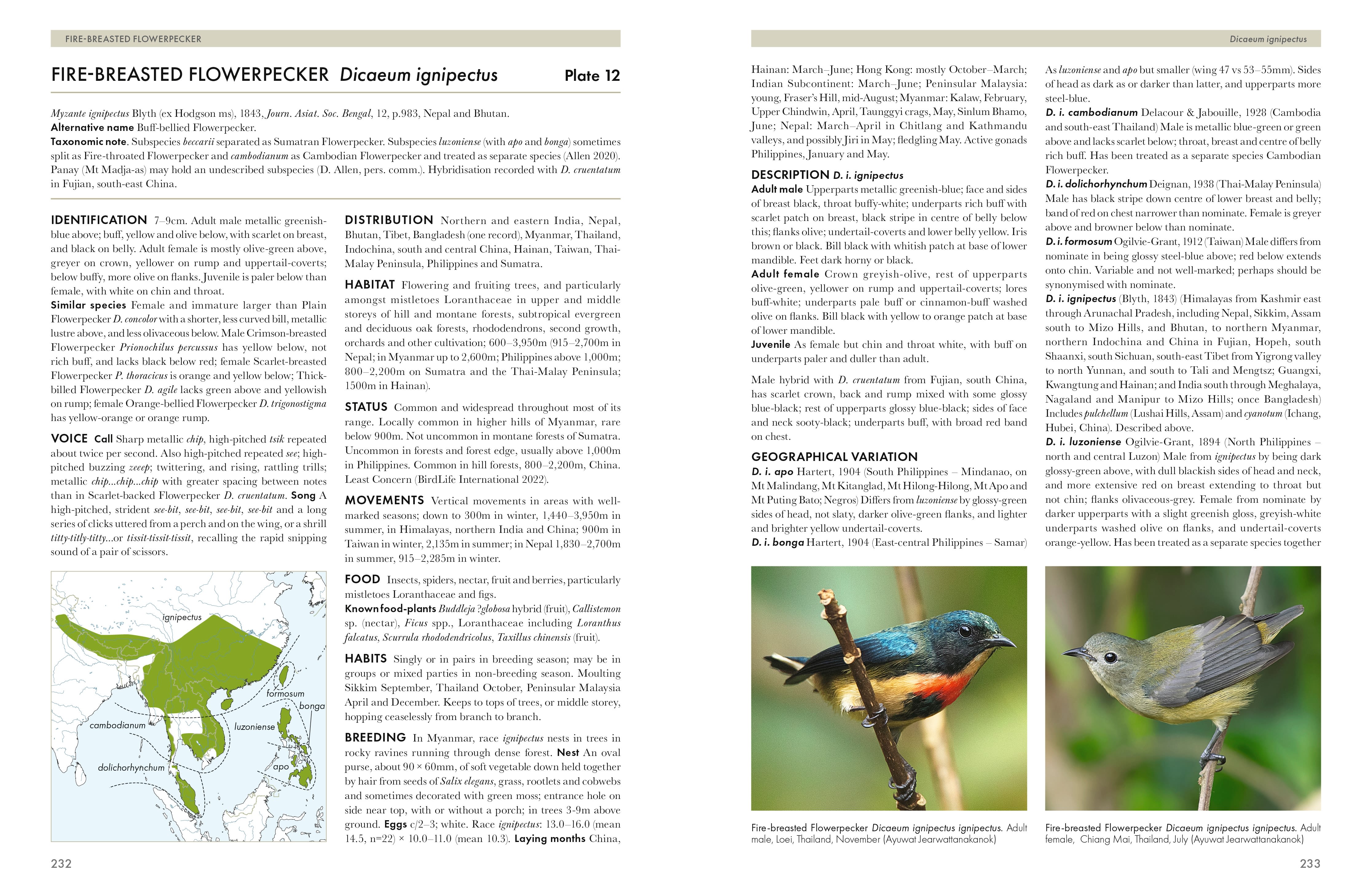 Page Spread