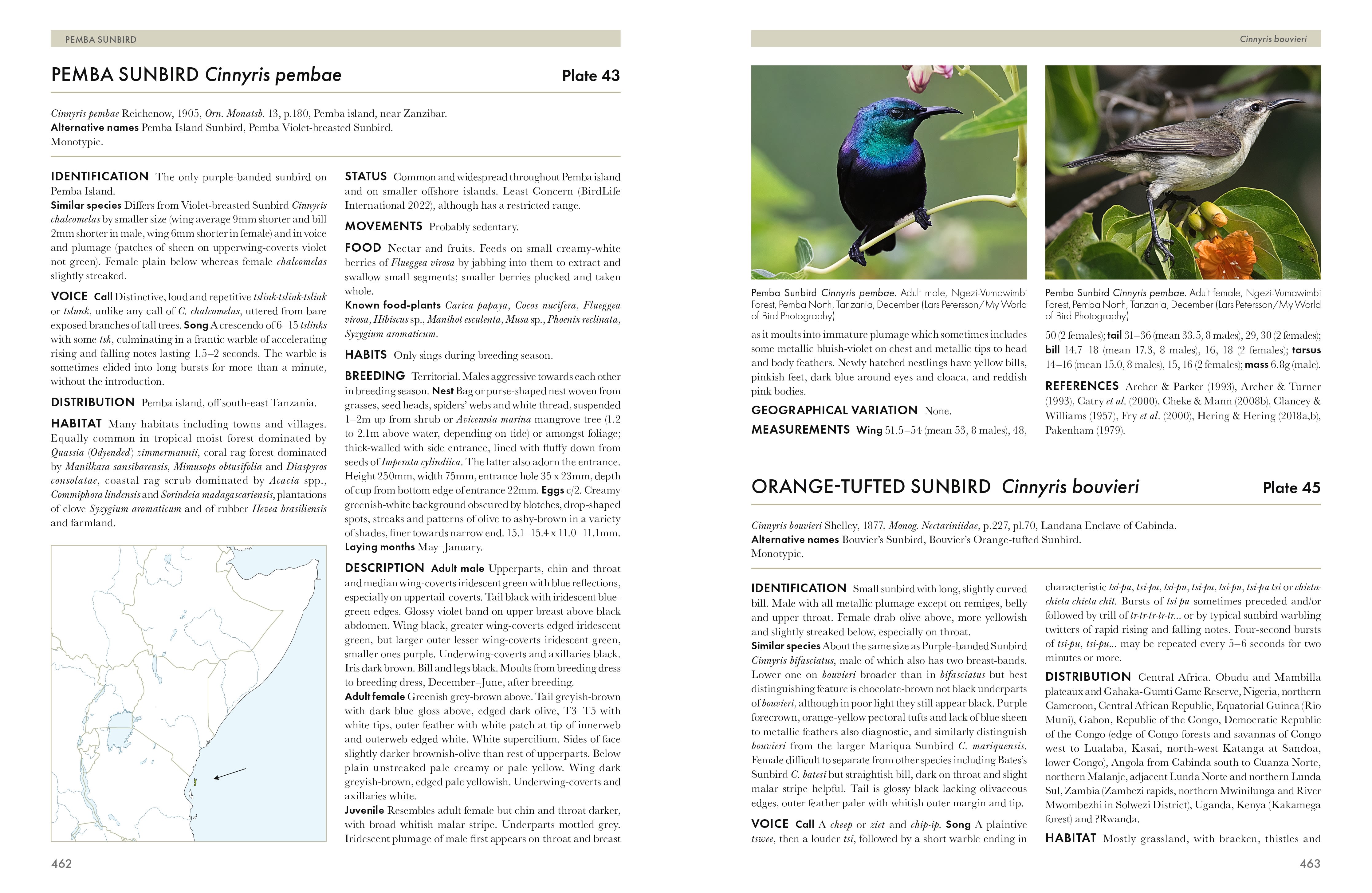 Page Spread