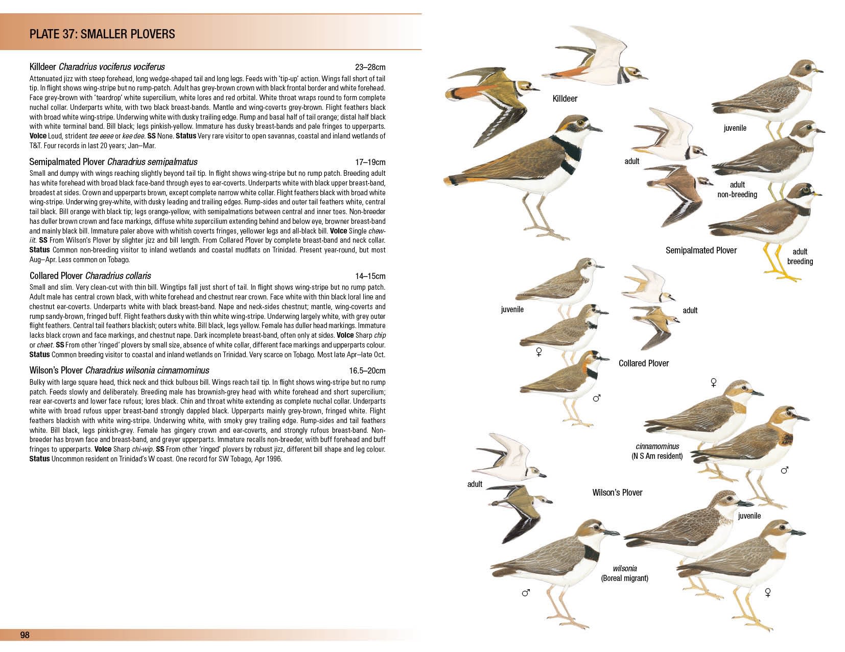 Birds Of Trinidad And Tobago Third Edition Helm Field Guides Martyn 