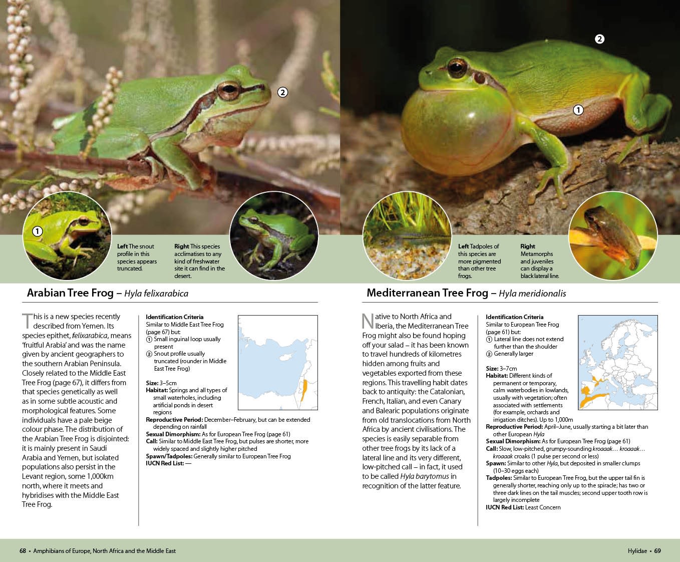 Page Spread