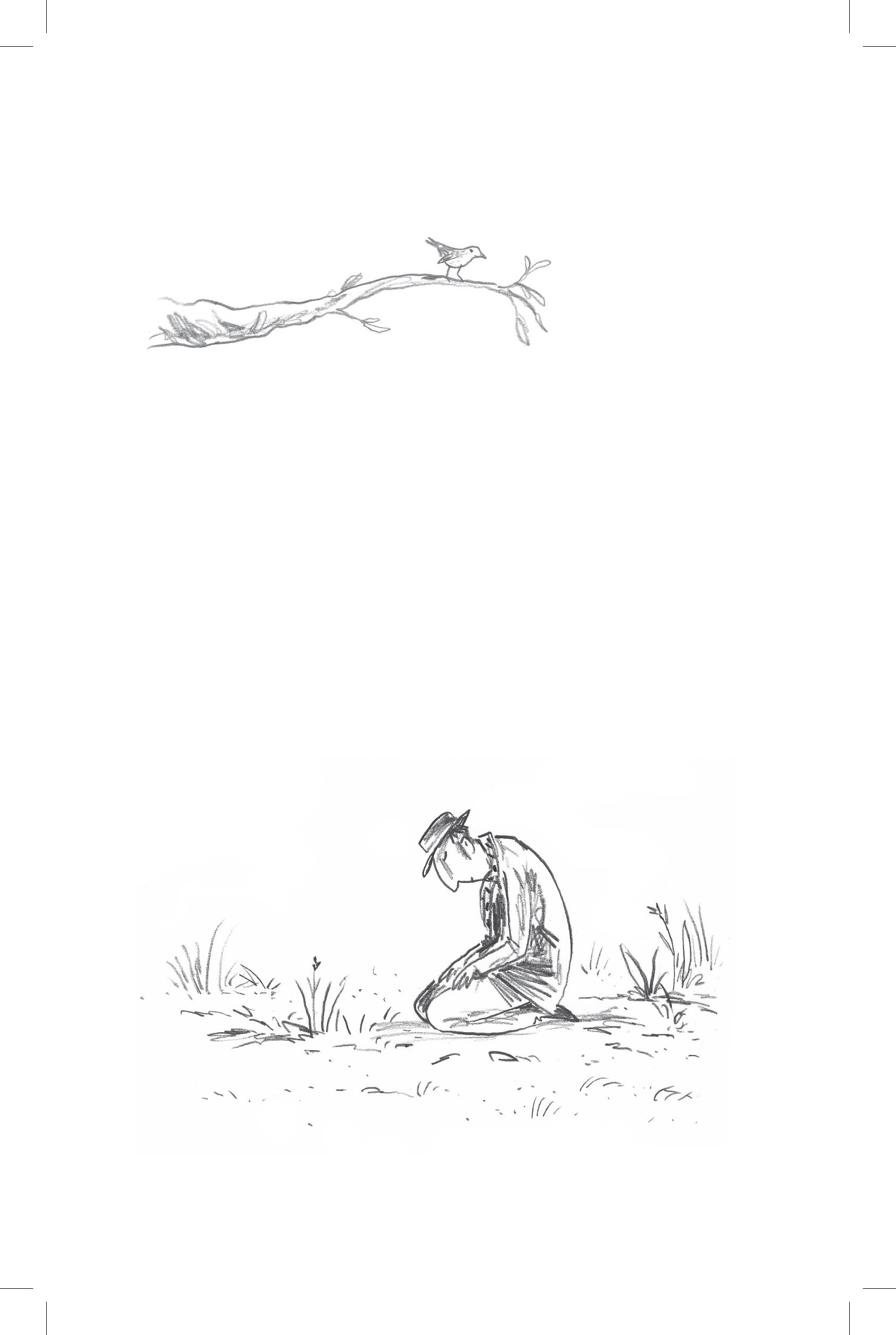Page Spread