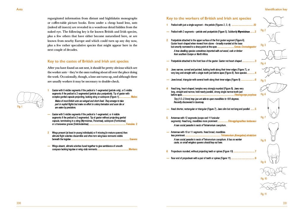 Page Spread
