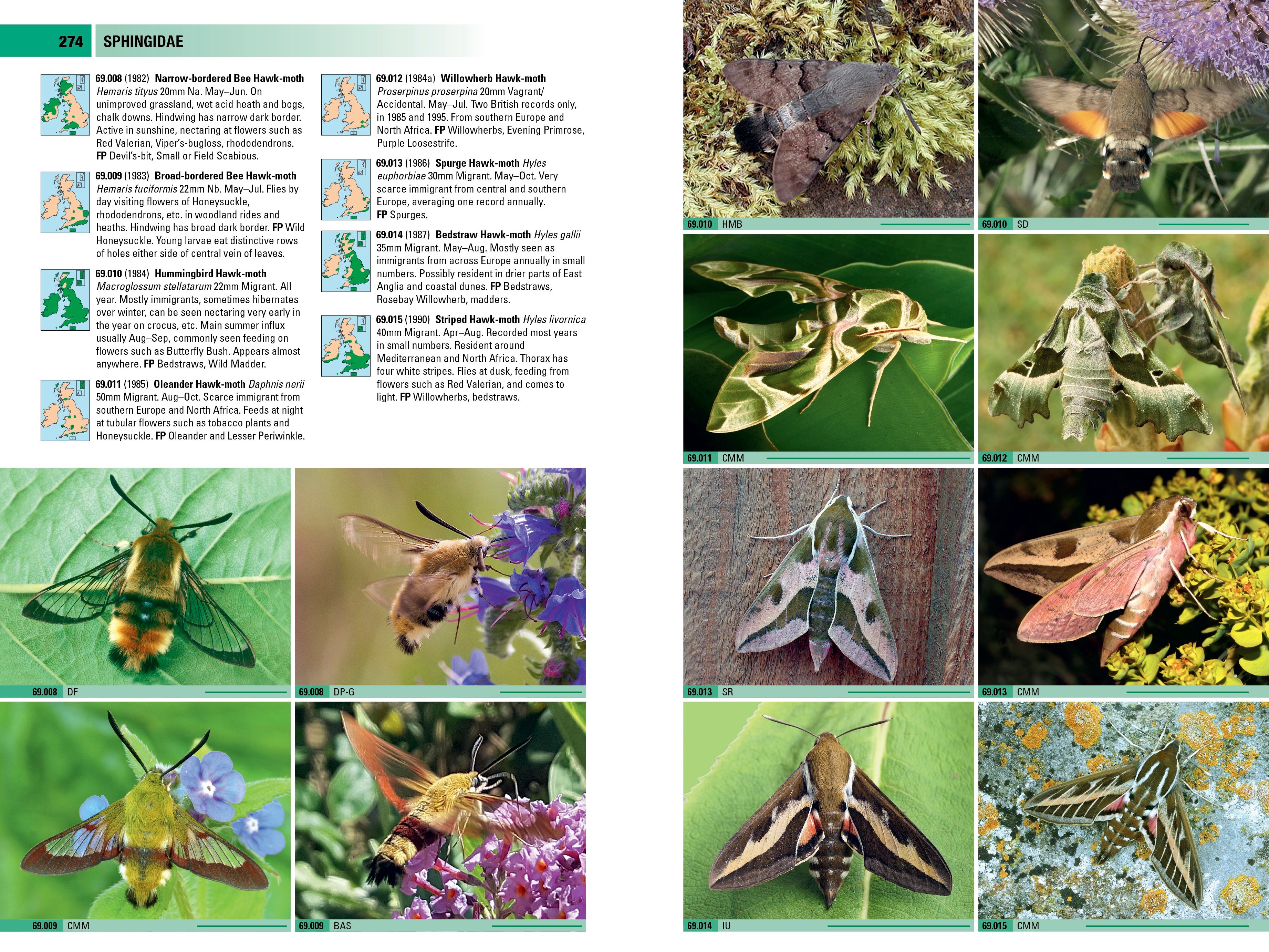 Page Spread