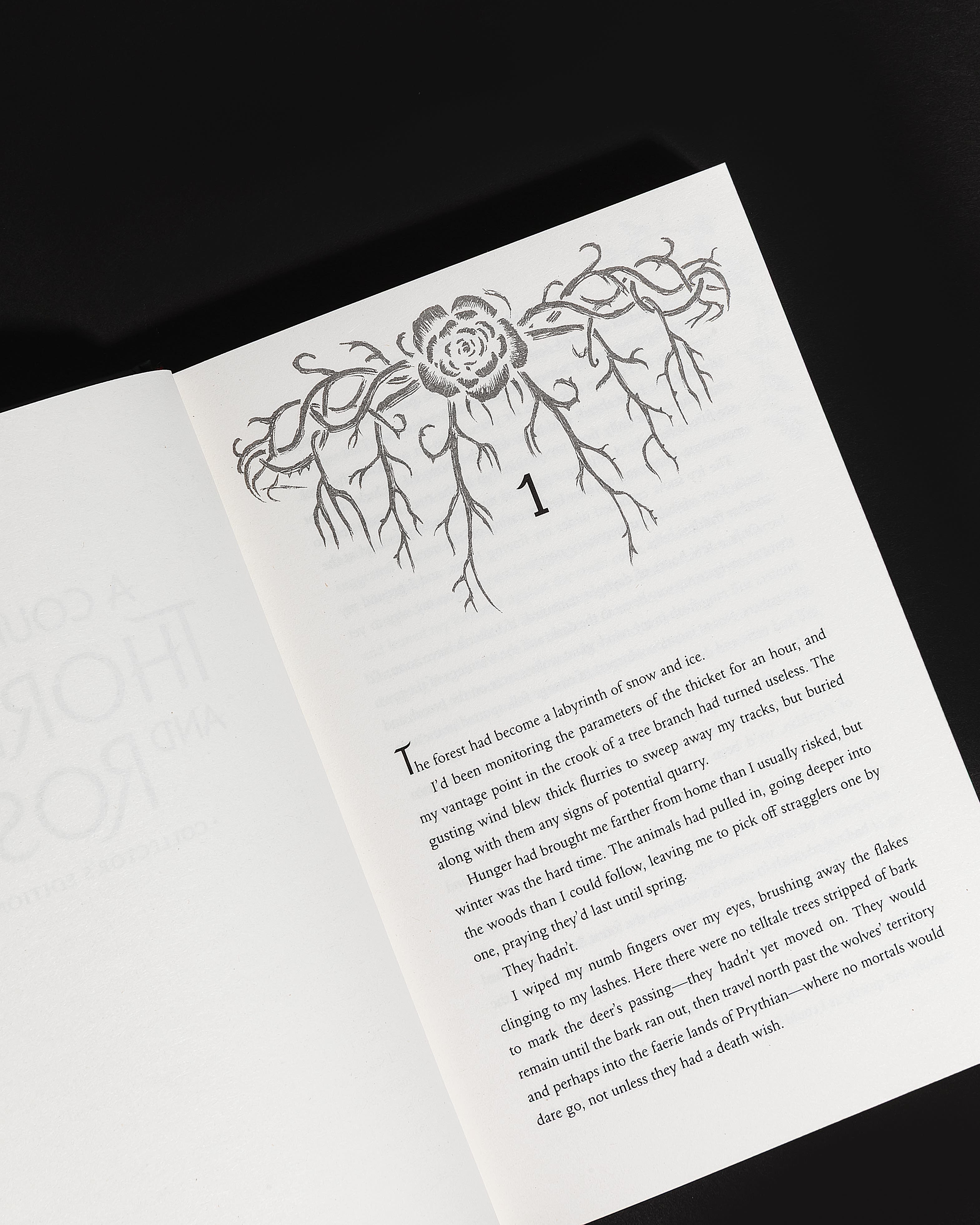 Page Spread