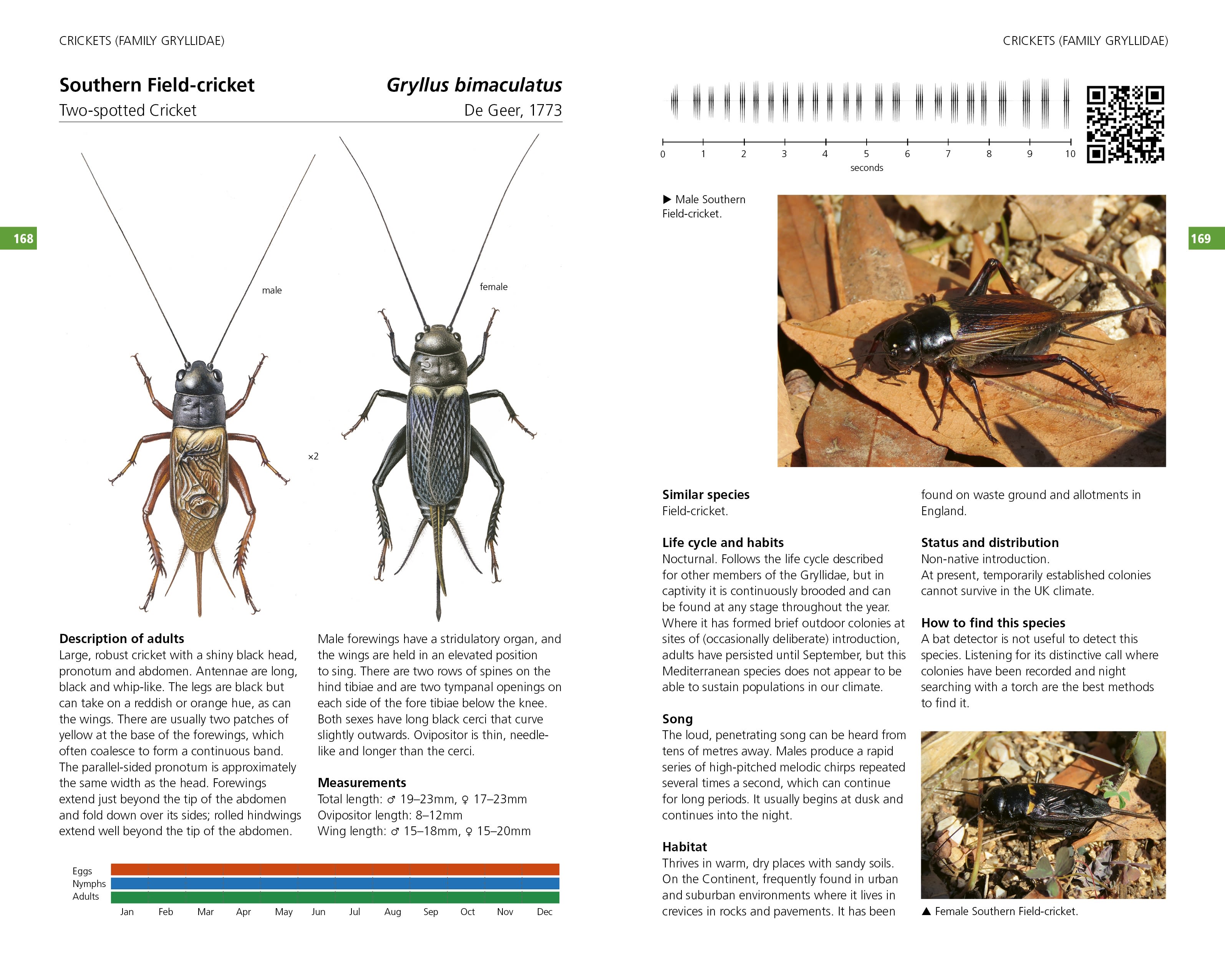 Page Spread