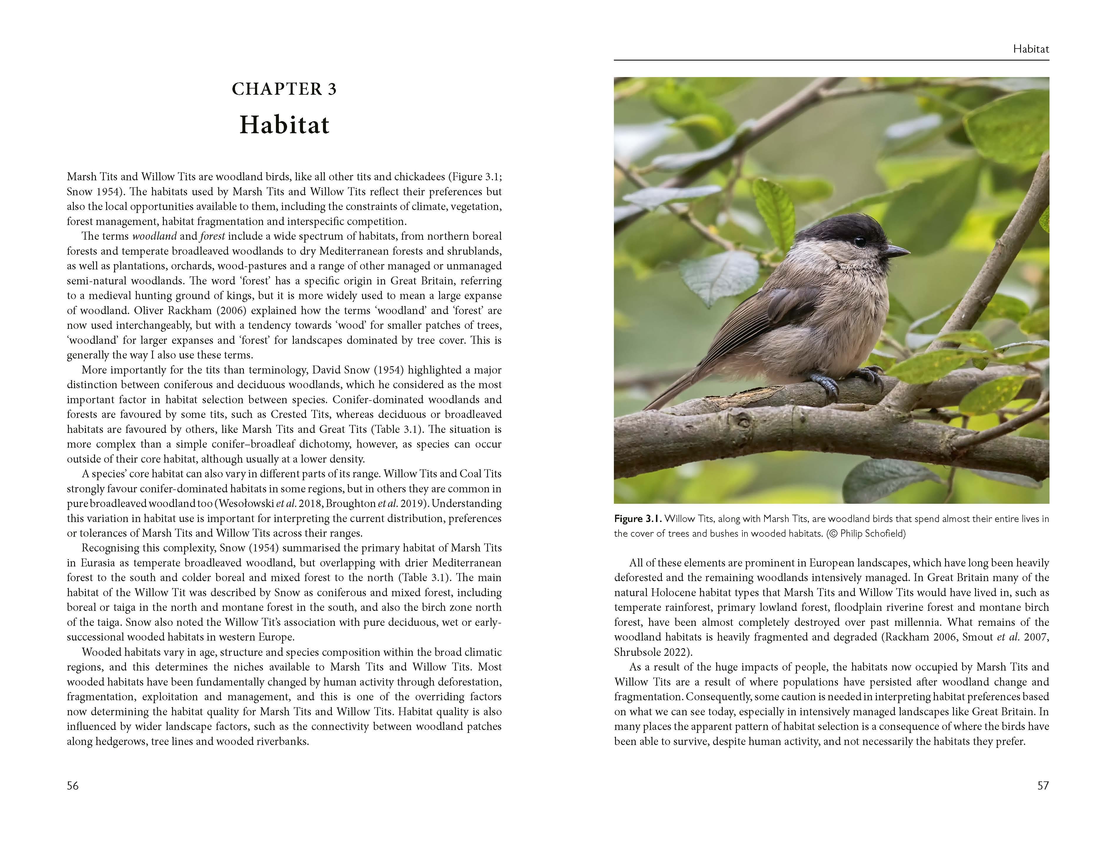 Page Spread