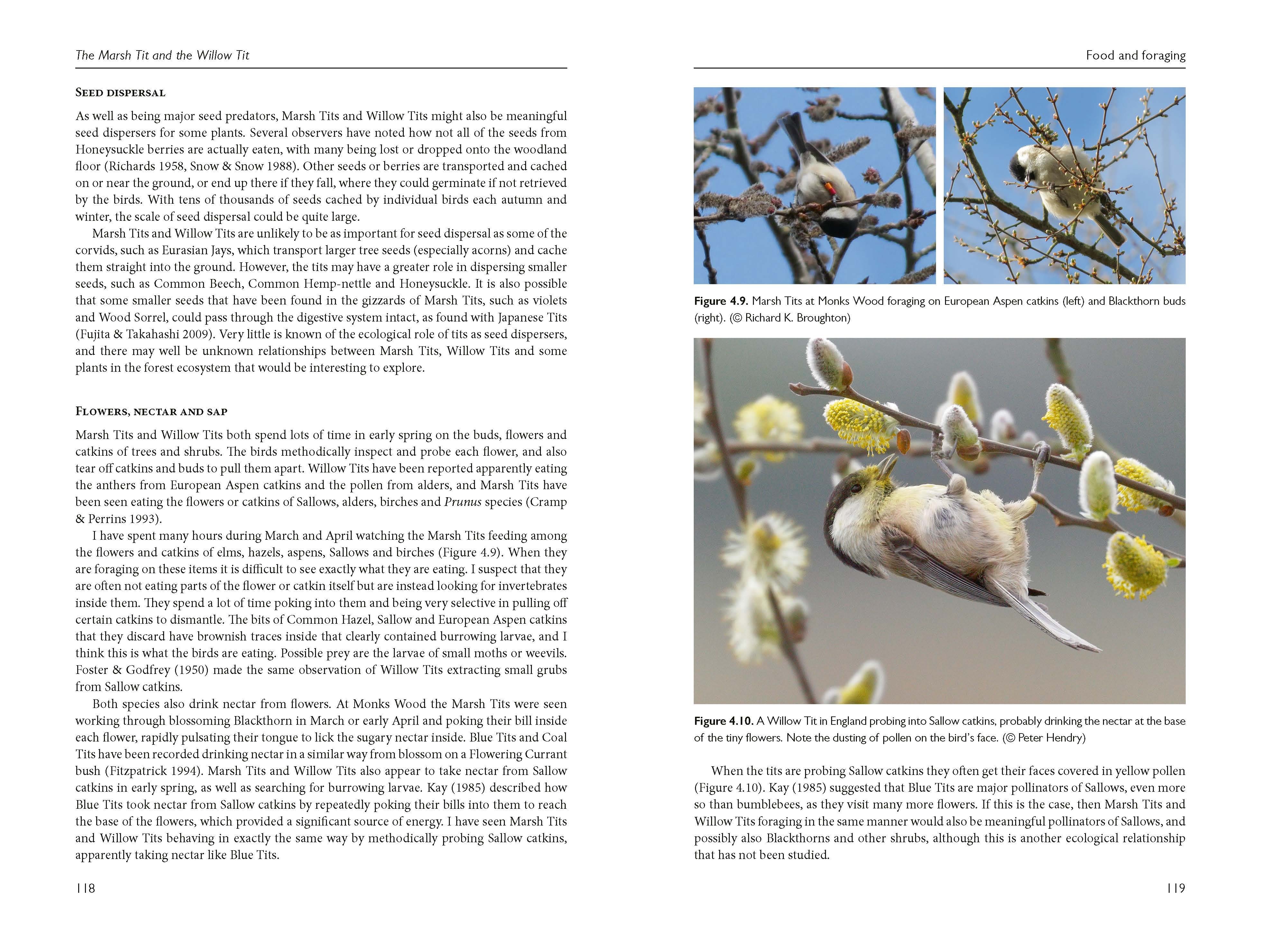Page Spread