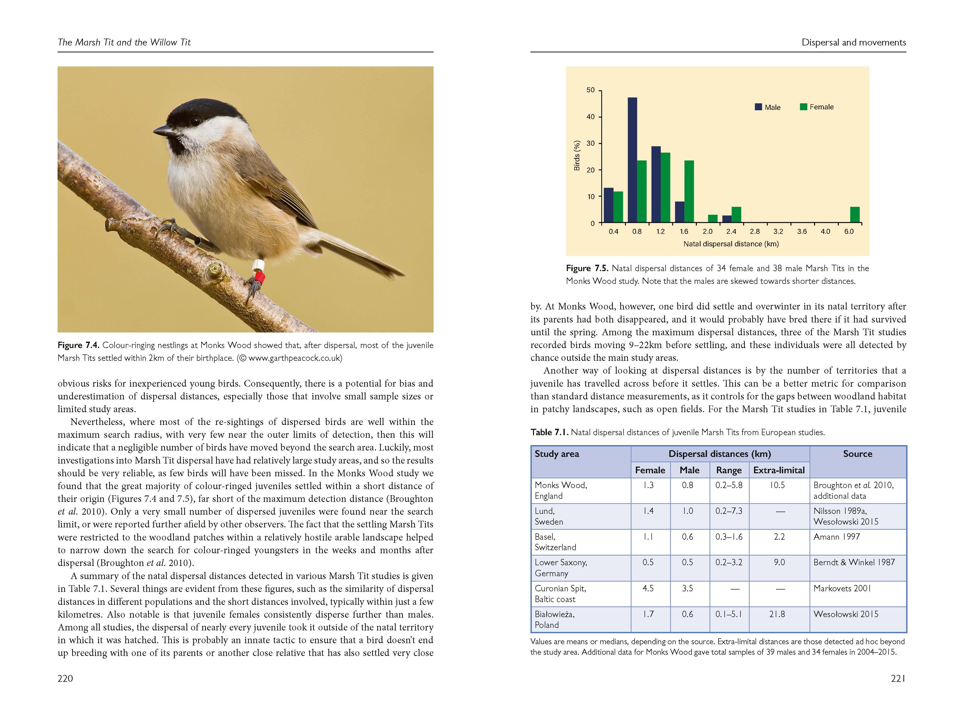 Page Spread