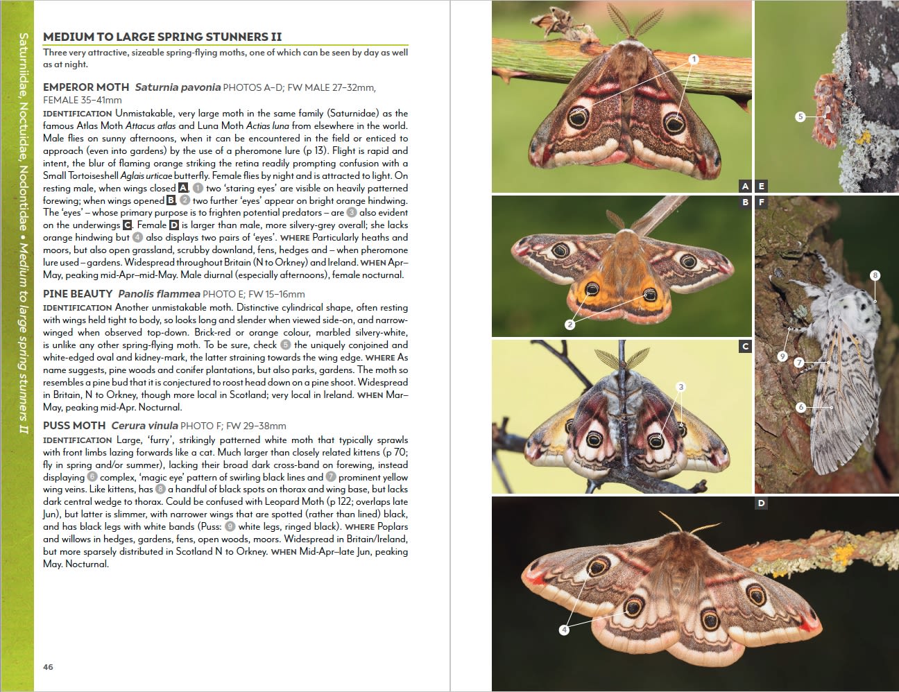 Page Spread