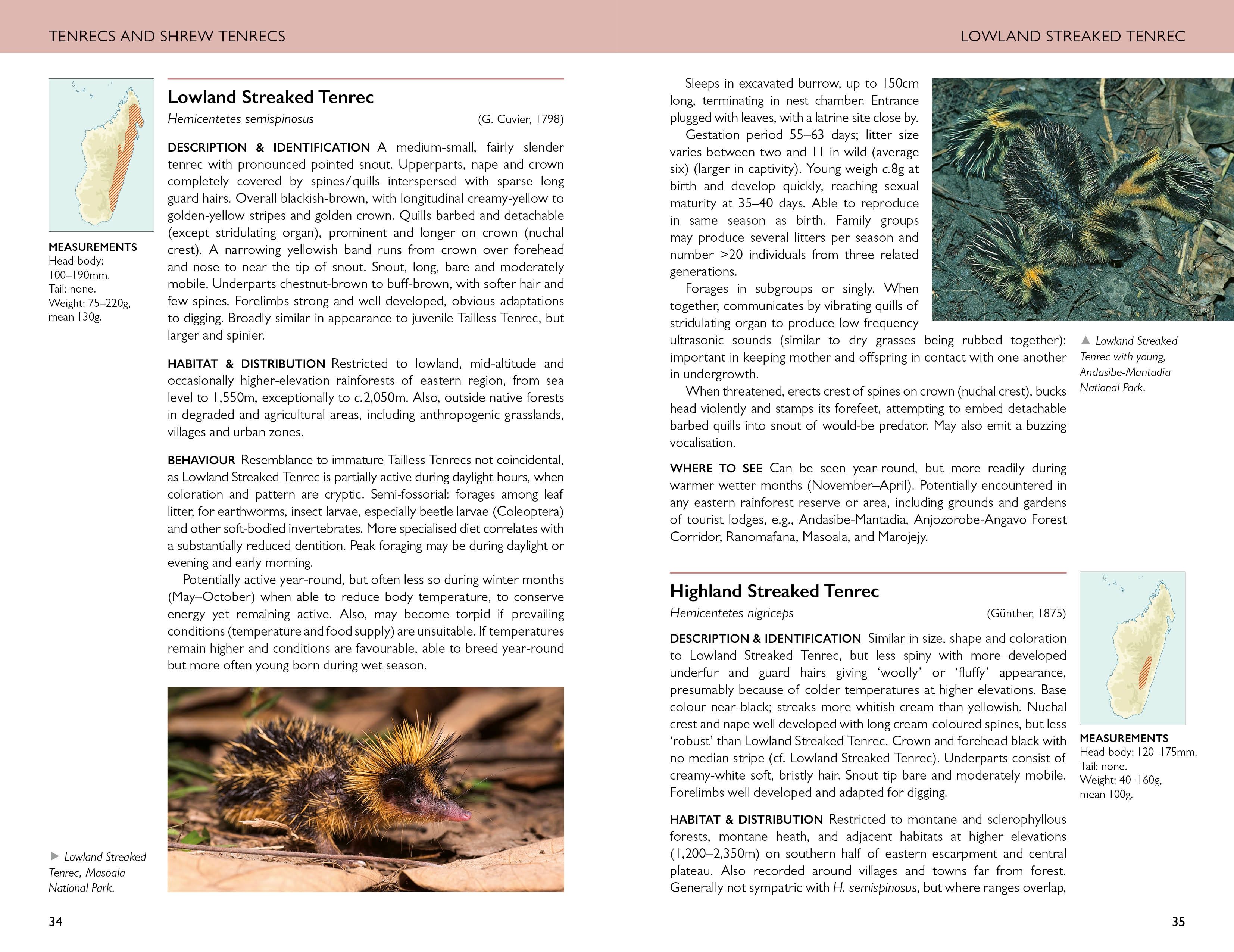 Page Spread