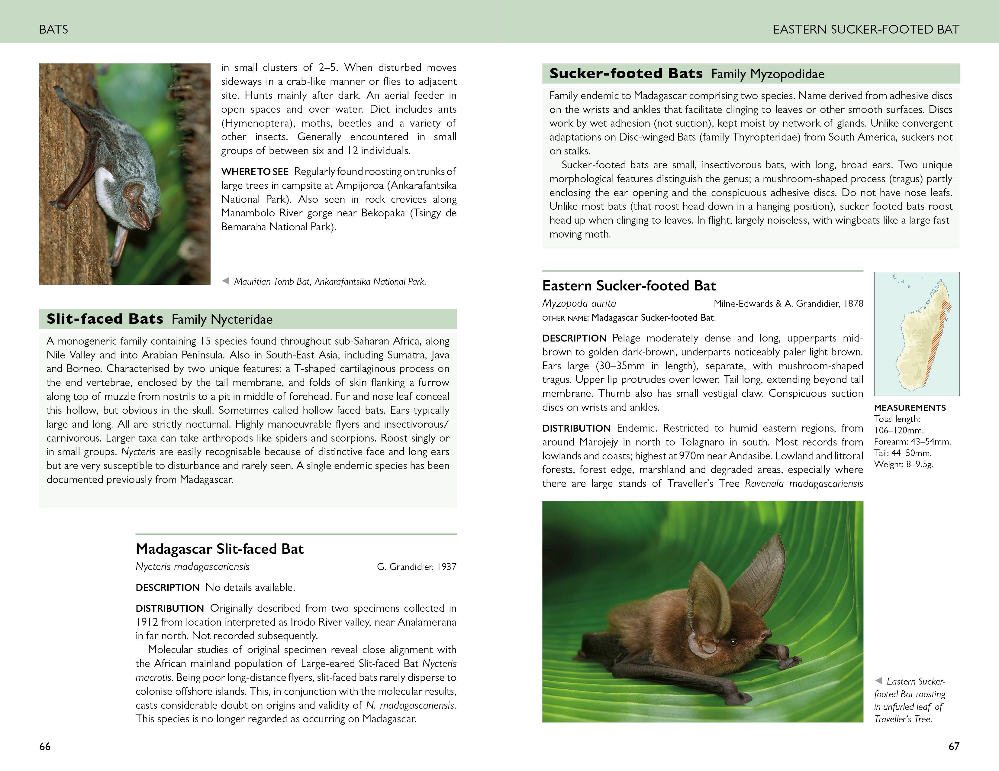 Page Spread