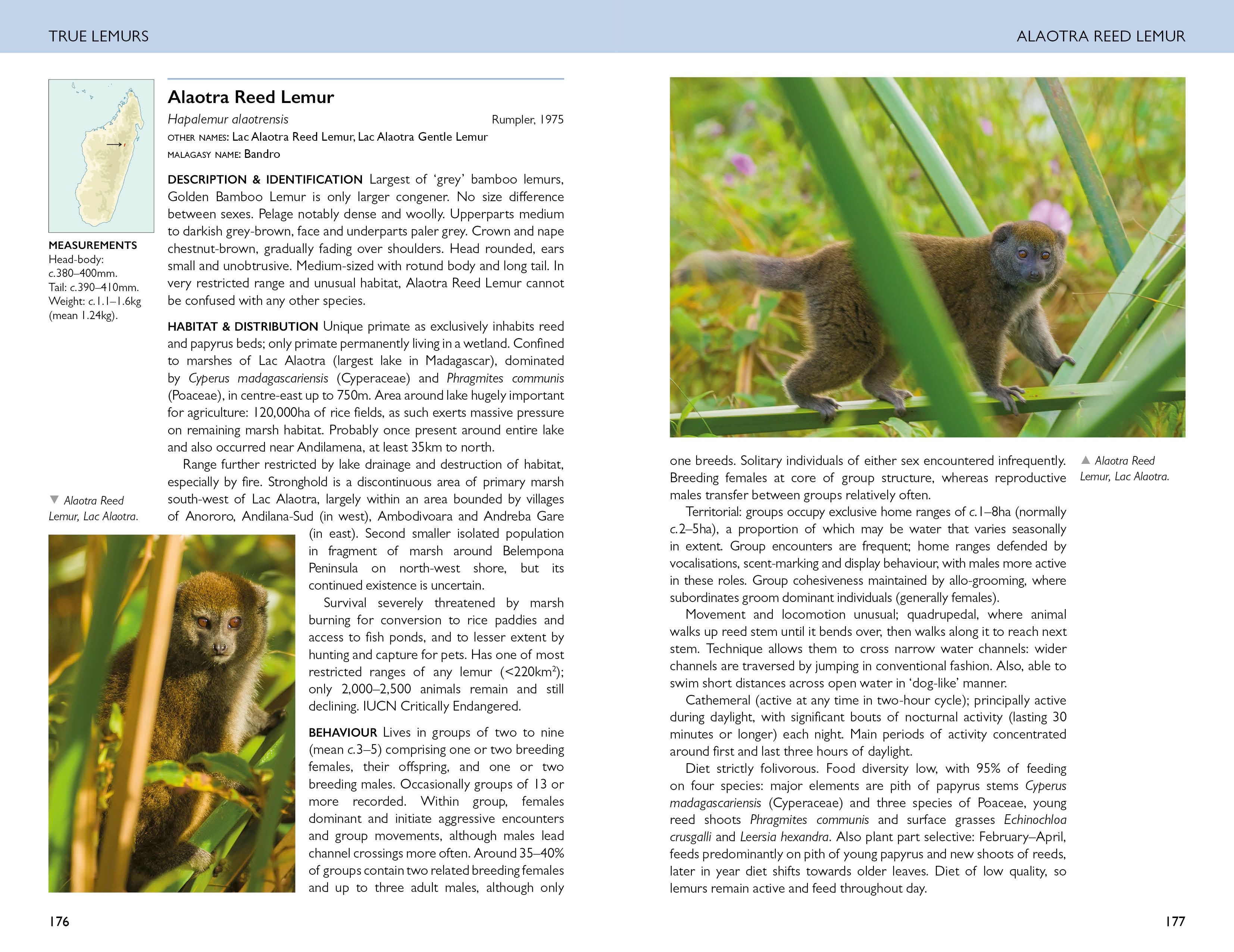 Page Spread