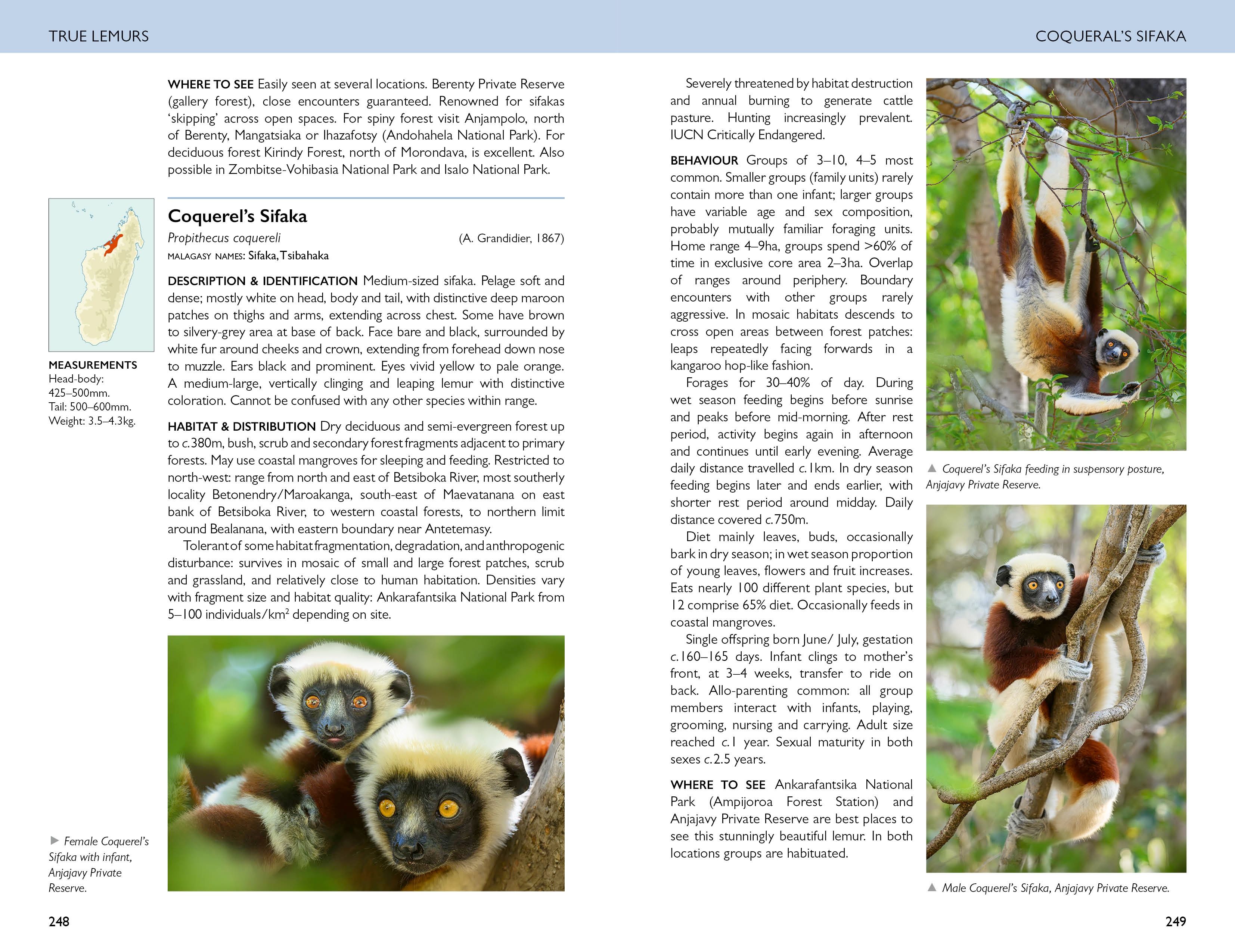 Page Spread