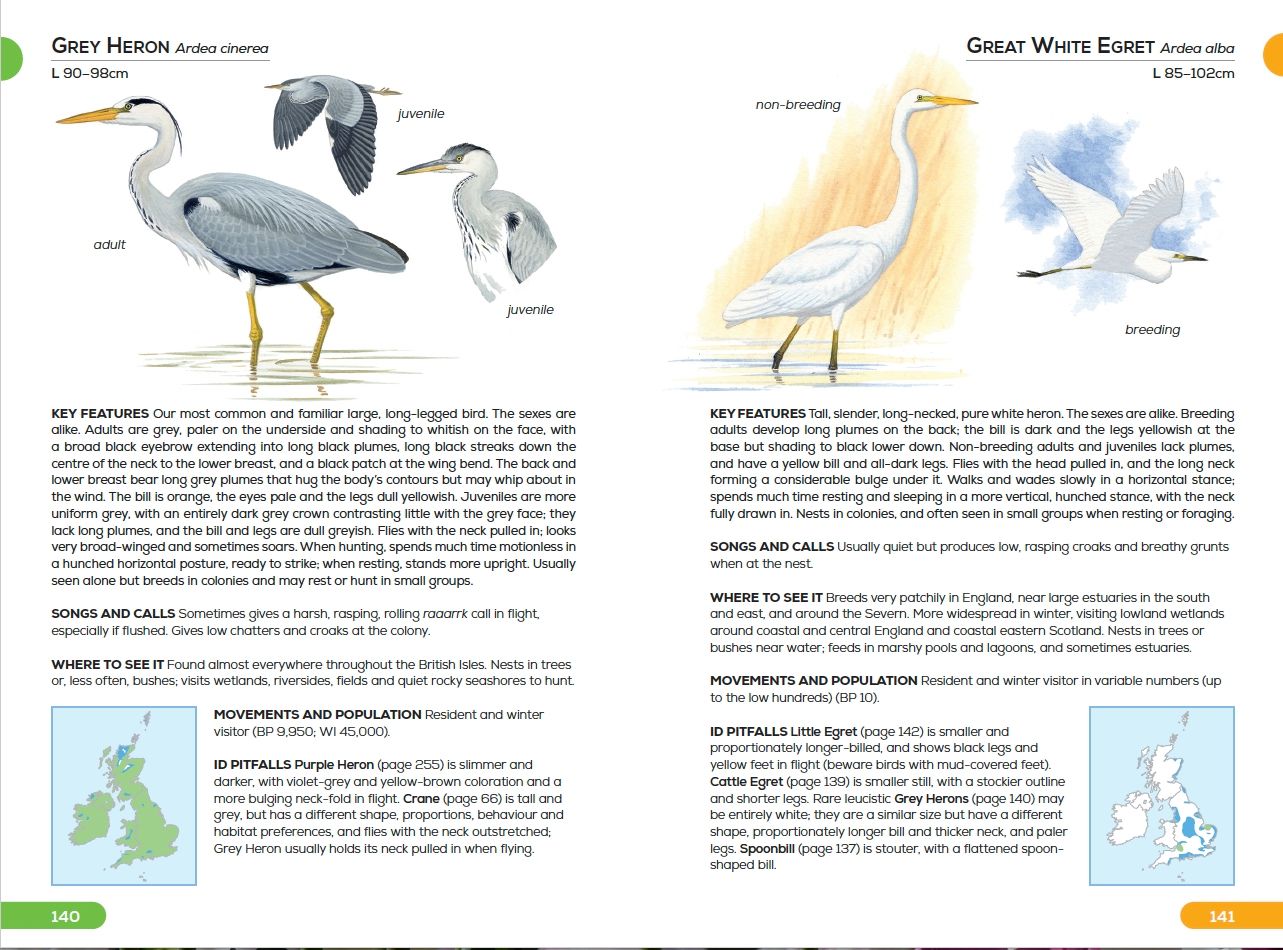 Page Spread