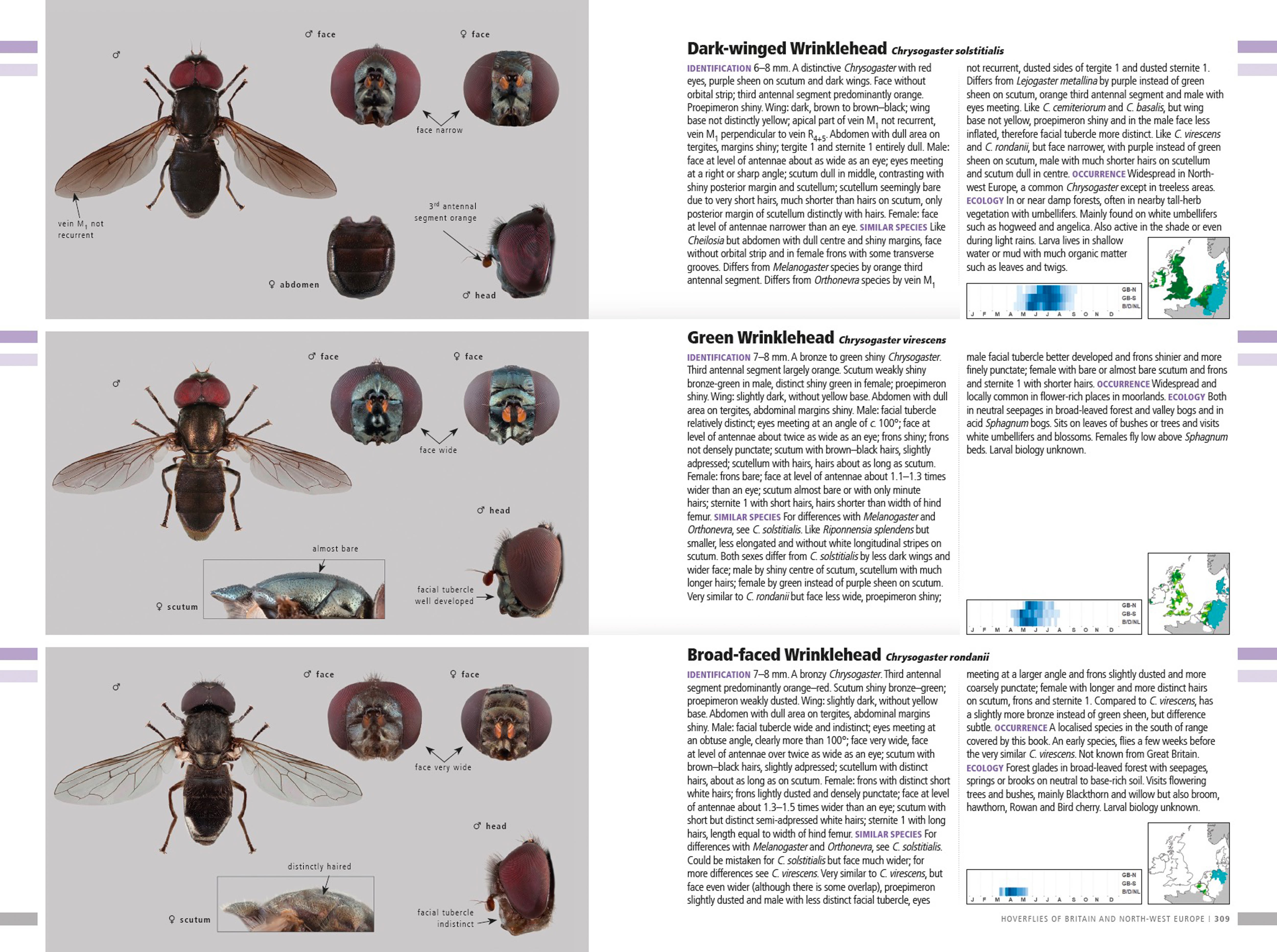 Page Spread