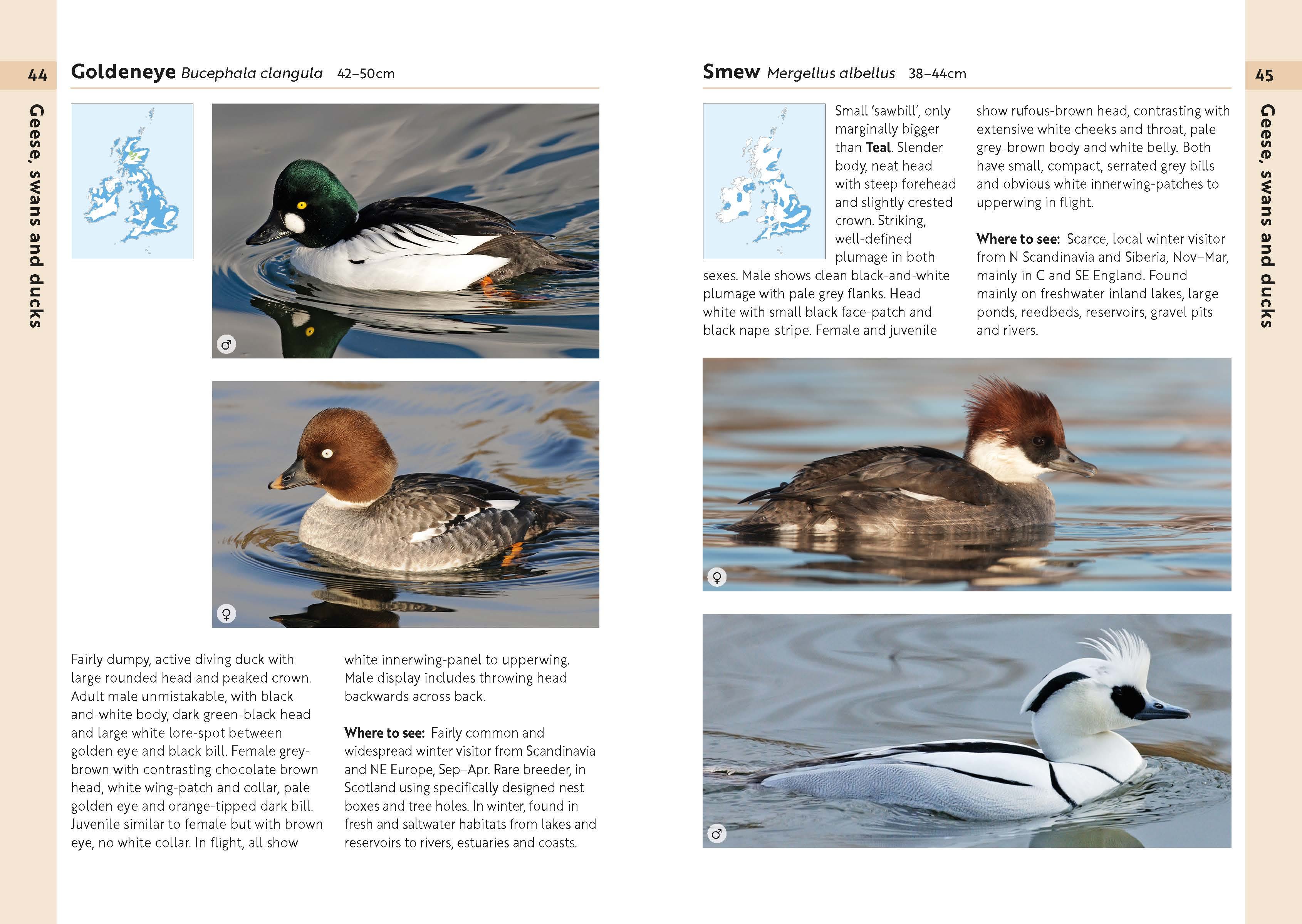 Page Spread