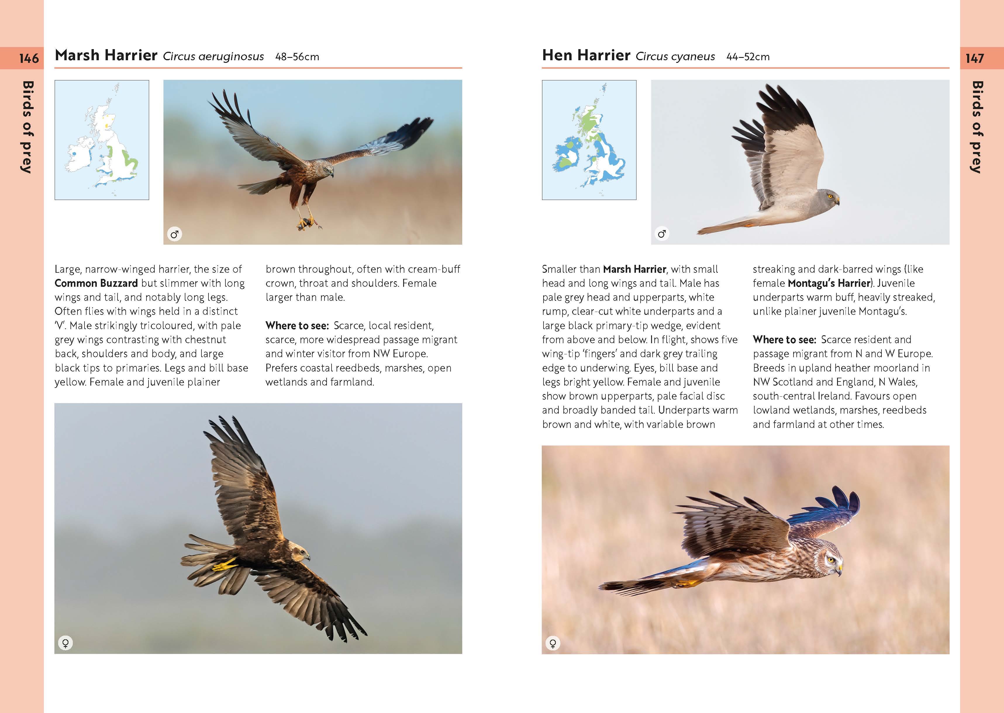 Page Spread