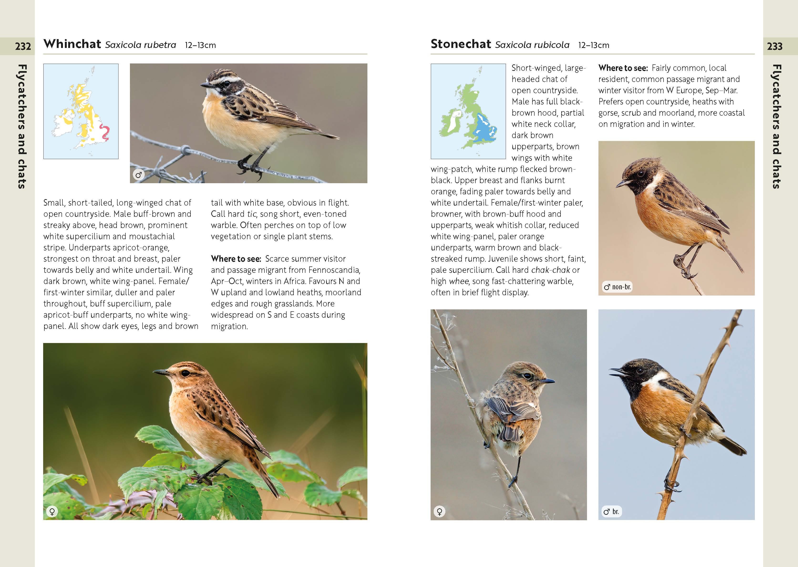 Page Spread
