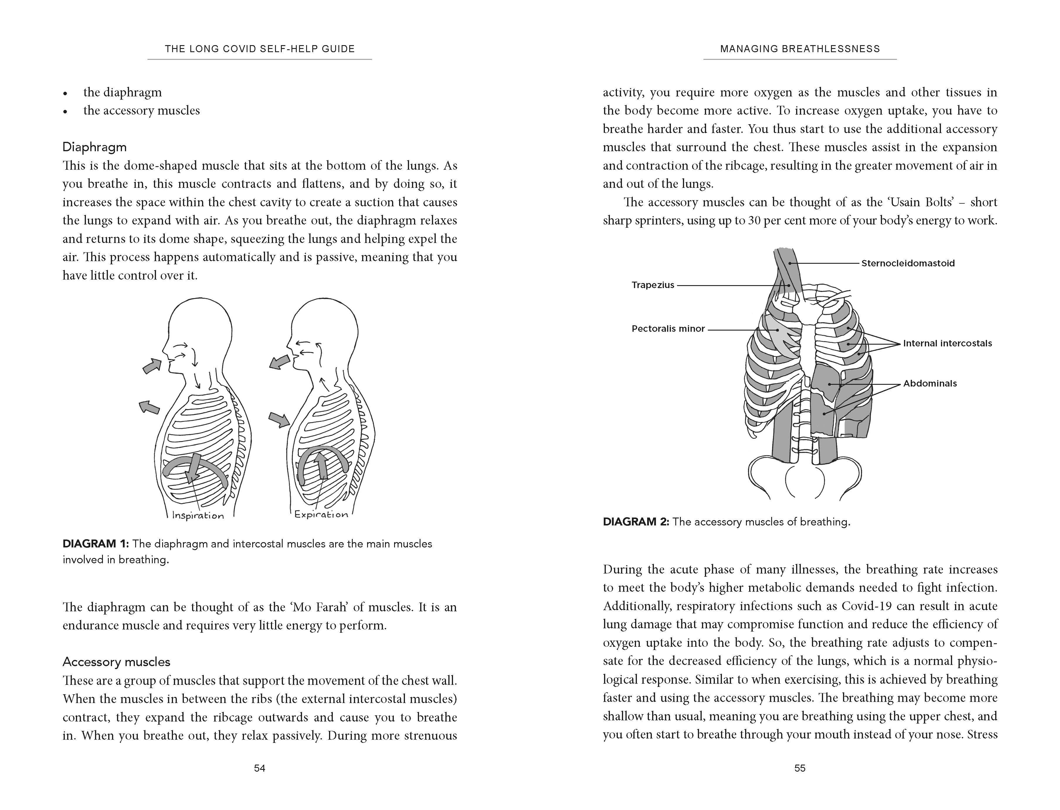 Page Spread