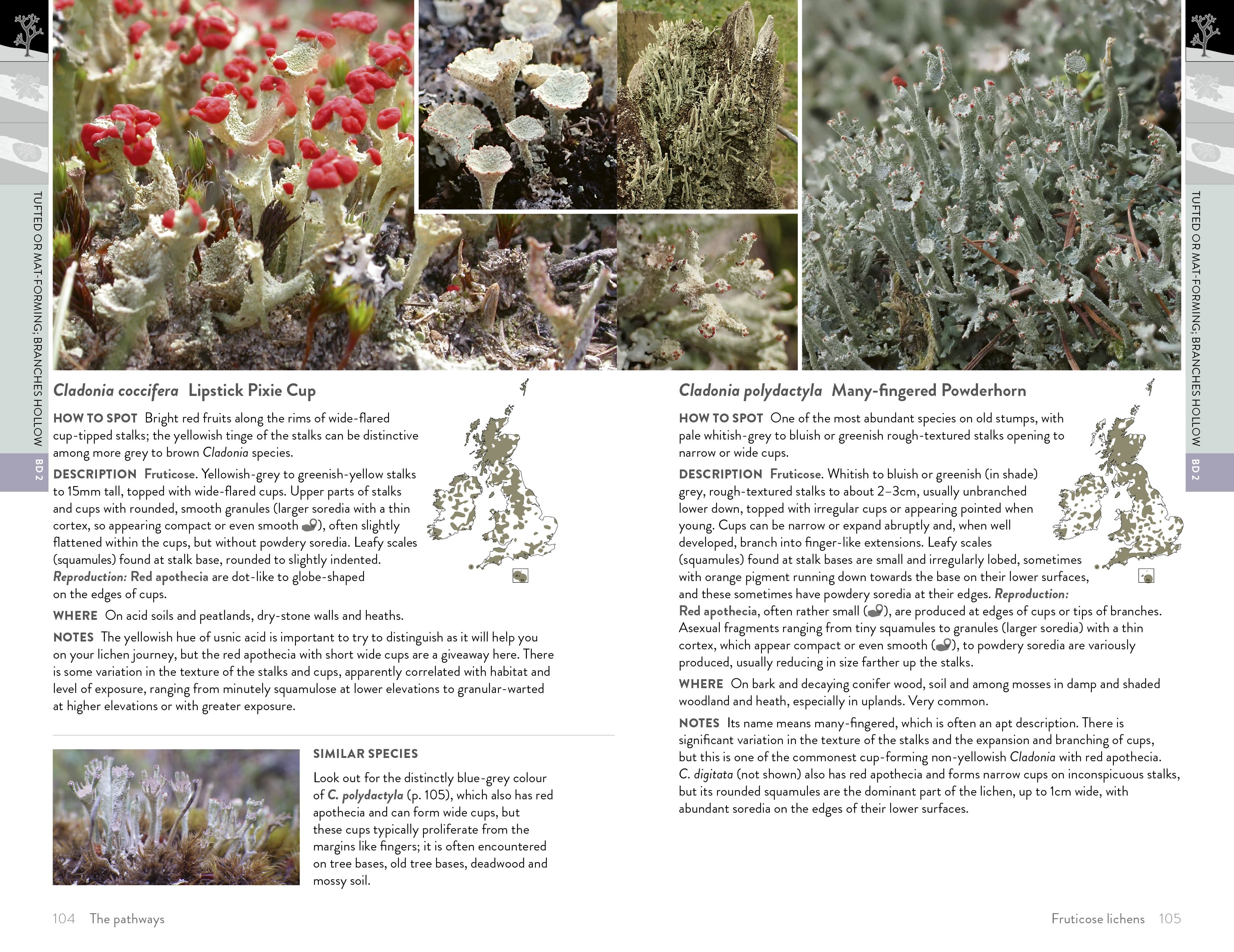 Page Spread